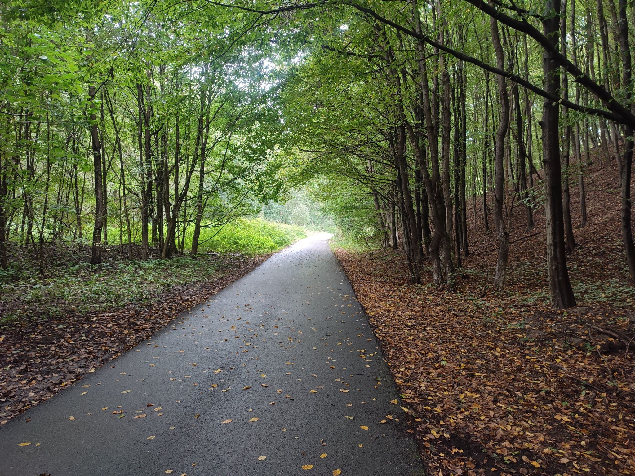 schöner Radweg