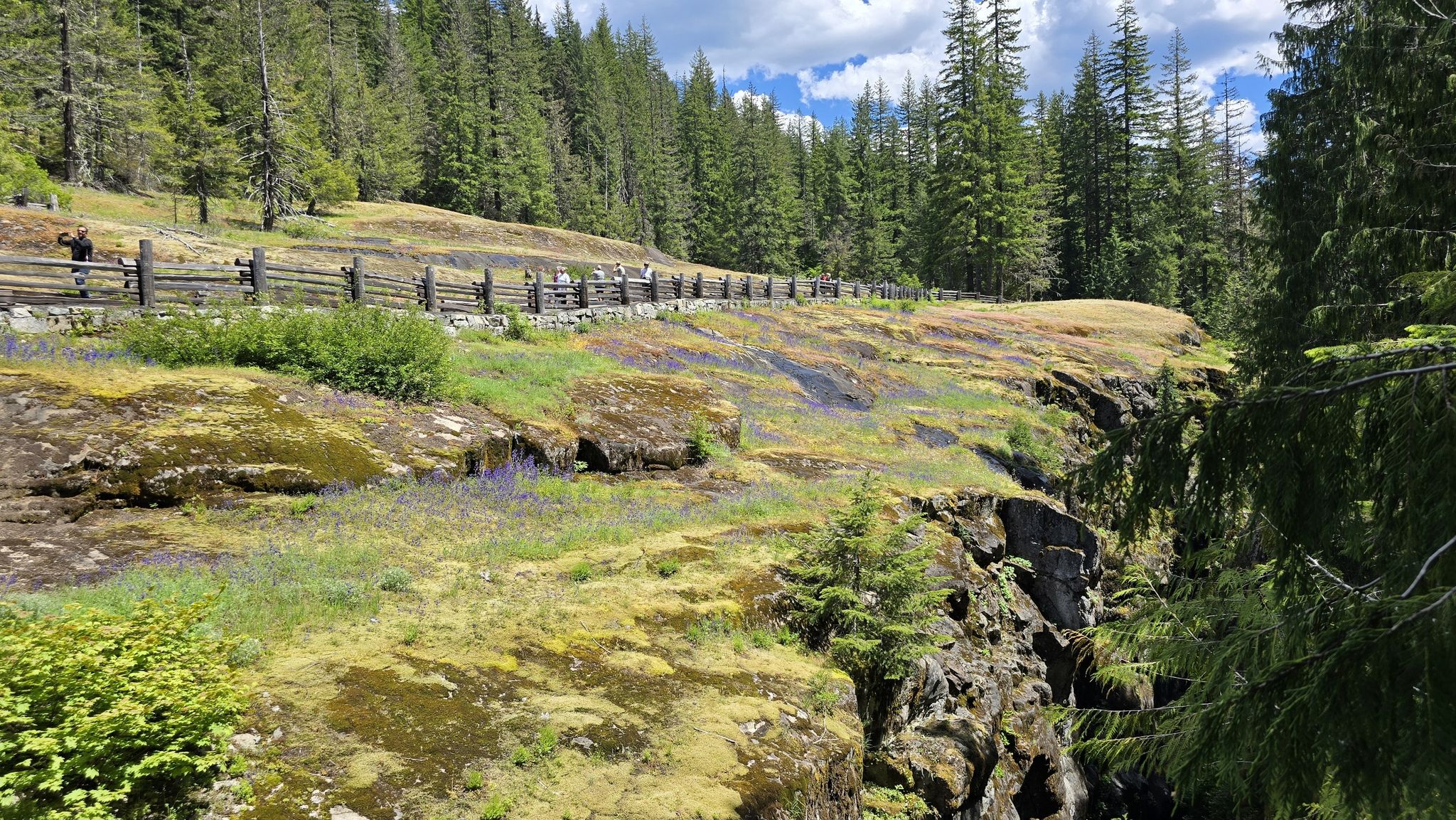 People walk along a wooden fence next to a mossy, rocky forest path. - Box Canyon Trail