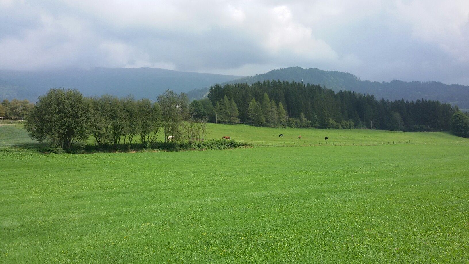 Naturpark Grebenzen