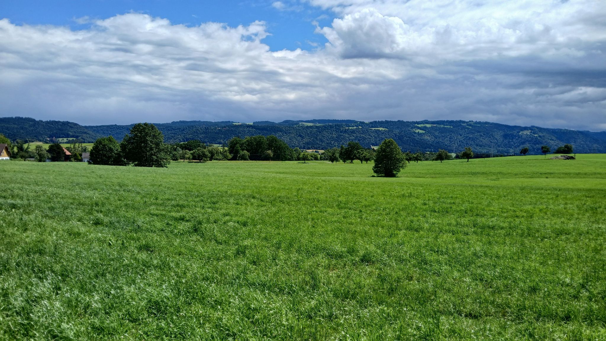 Blick ins Allgäu 