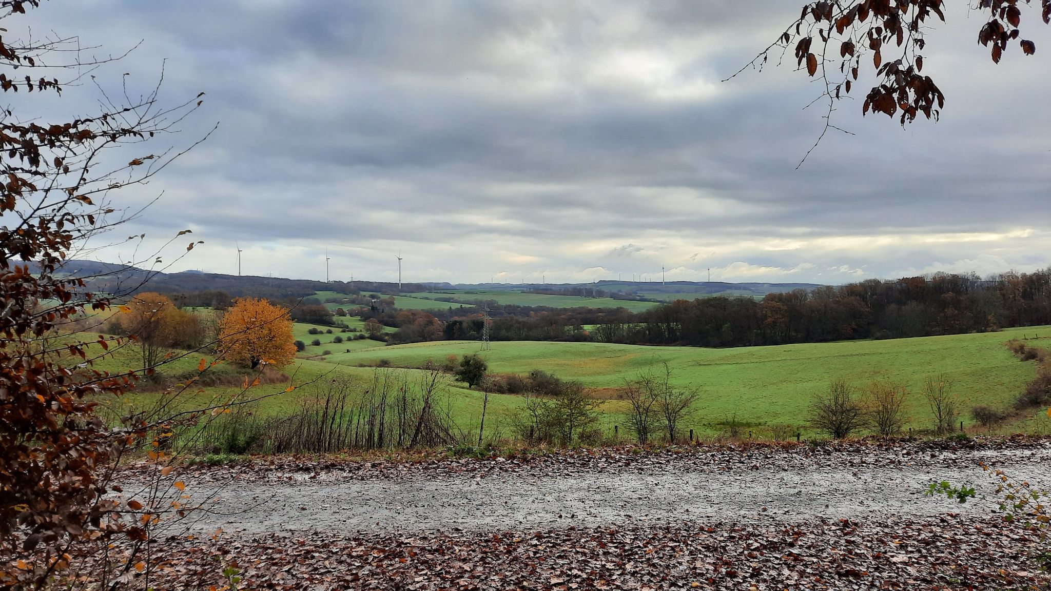 Ausblick über das Saubachtal