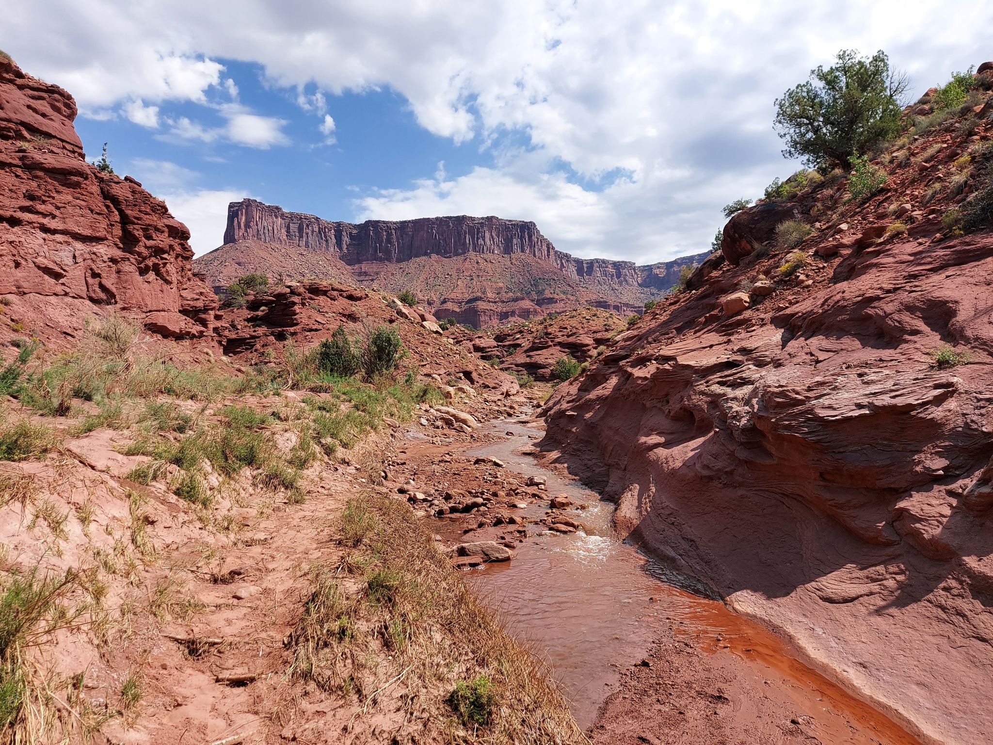 Muddy stream flowing through a red rock canyon under a cloudy sky. - Professor Creek and Mary Jane Canyon Trail