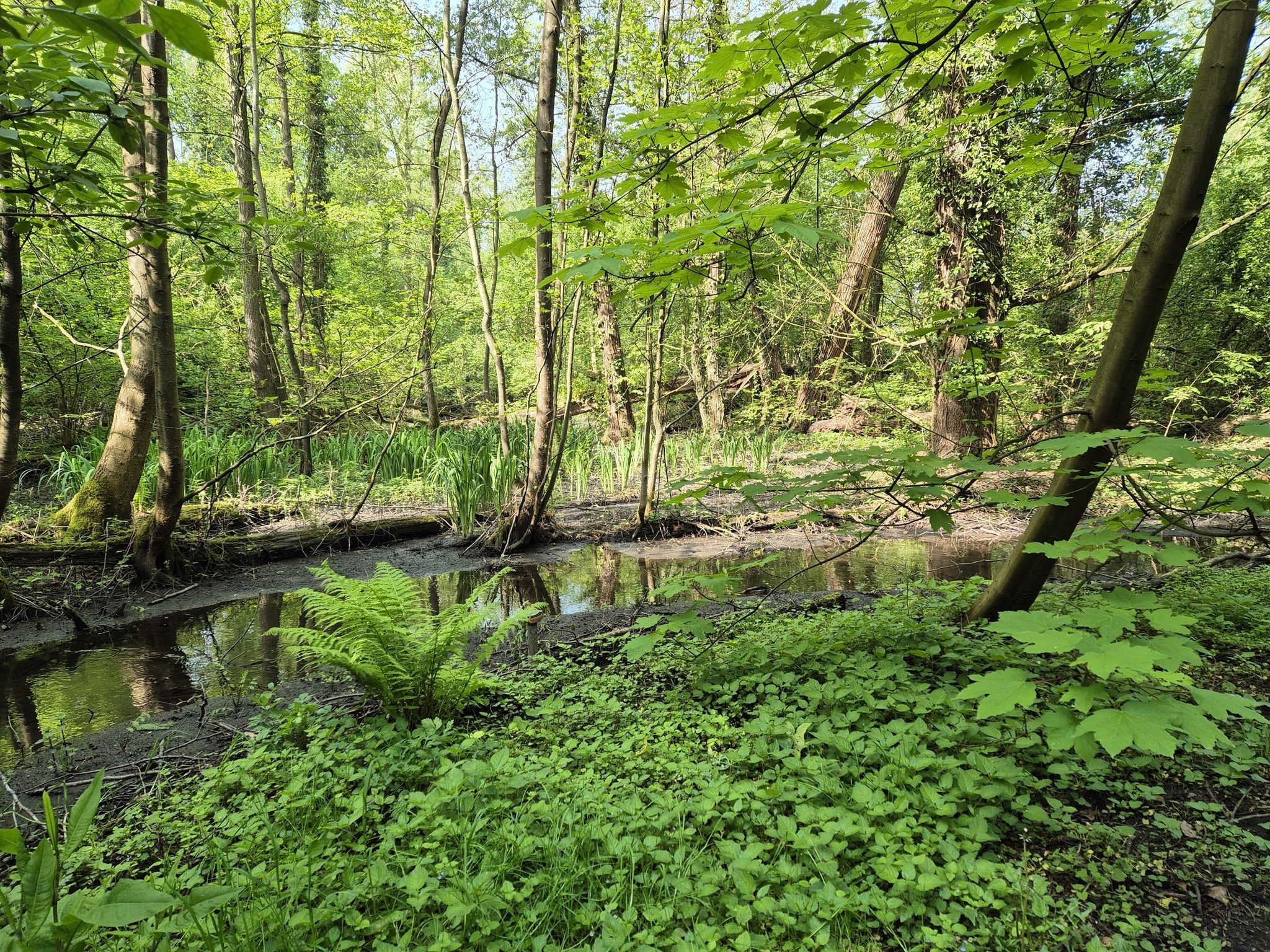Am Trietbach
