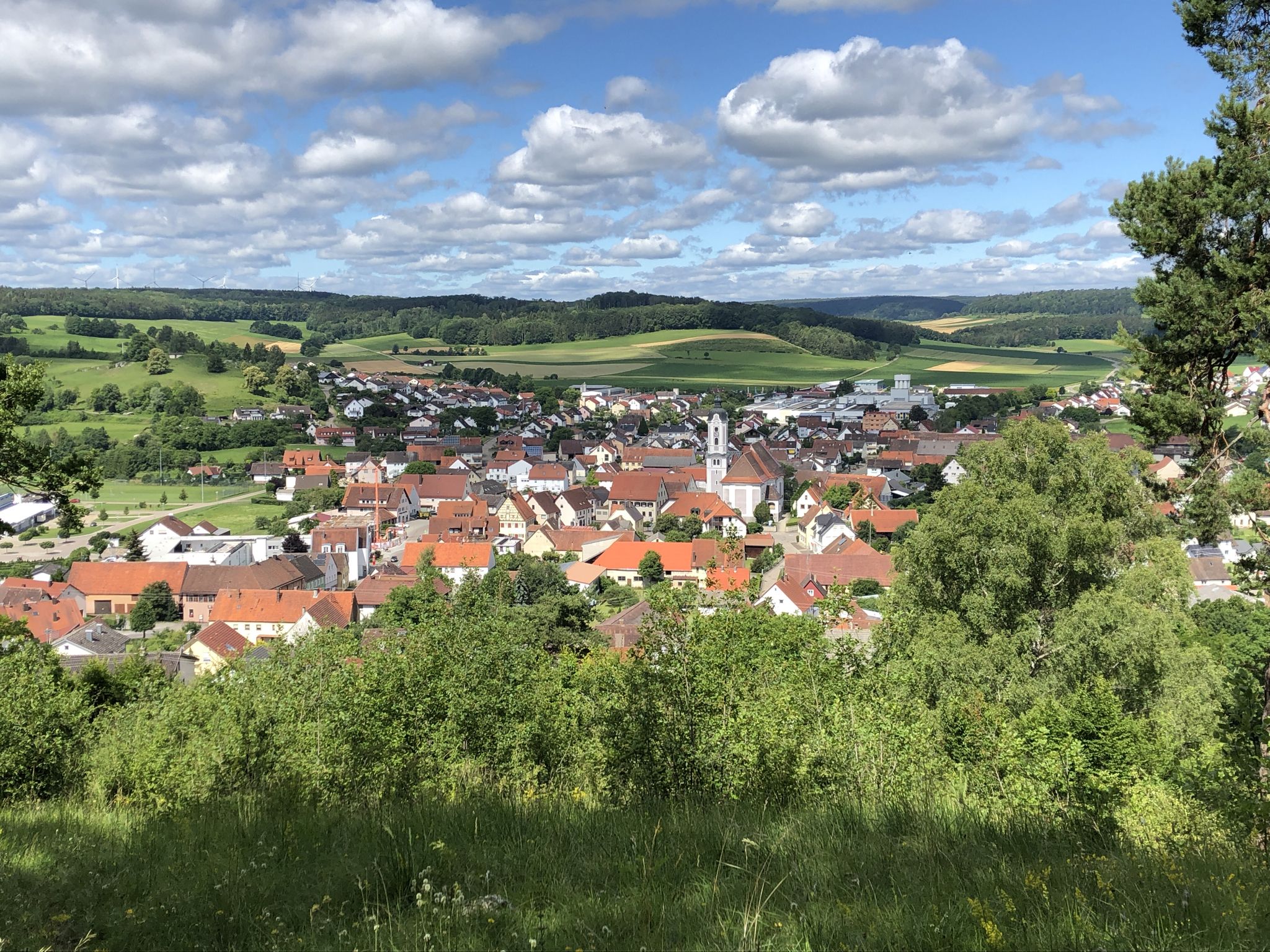 Schöne Aussicht über Dischingen 
