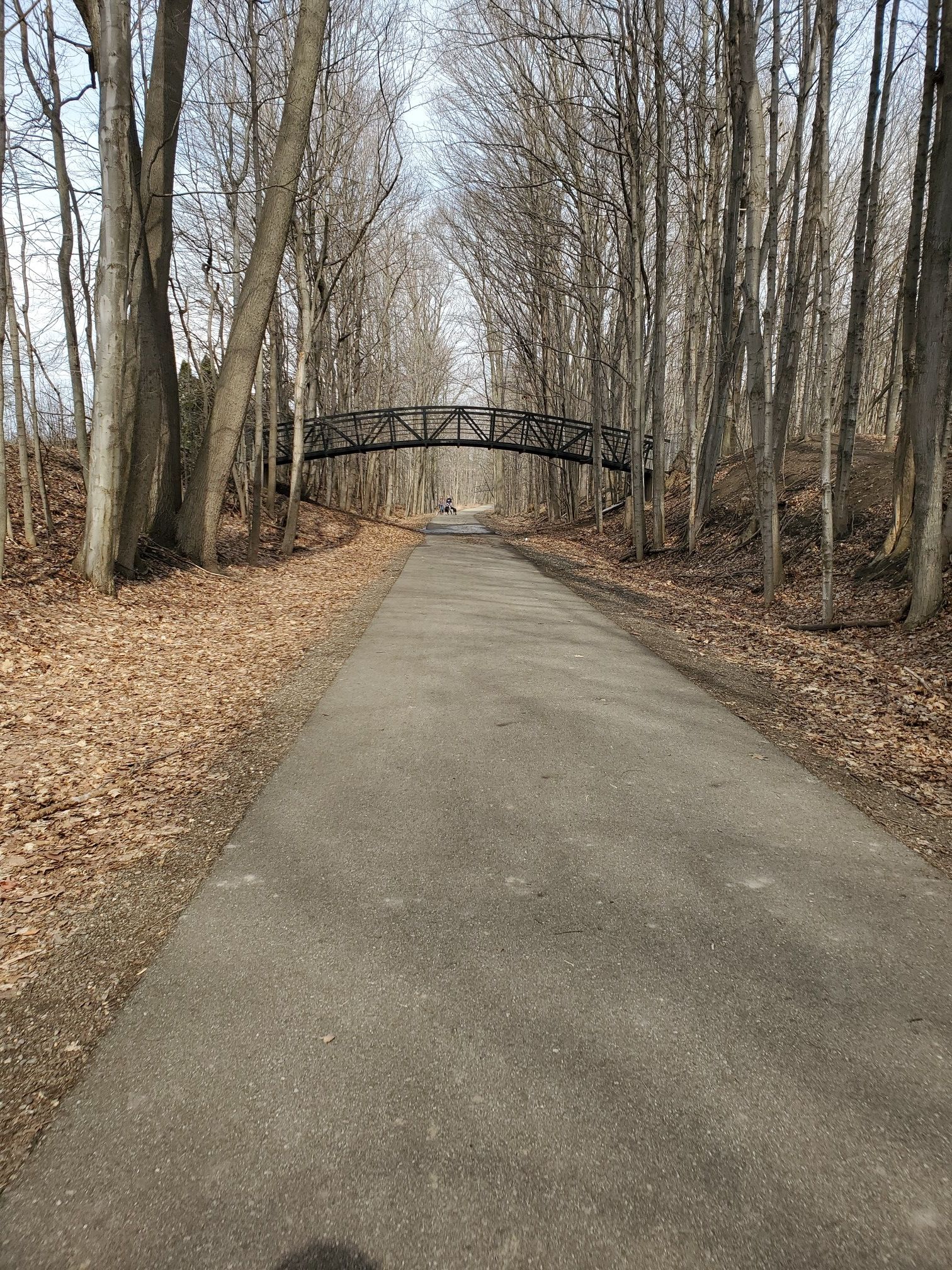 Paved path through bare trees leading to a pedestrian bridge on a bright day. - Kent Trails