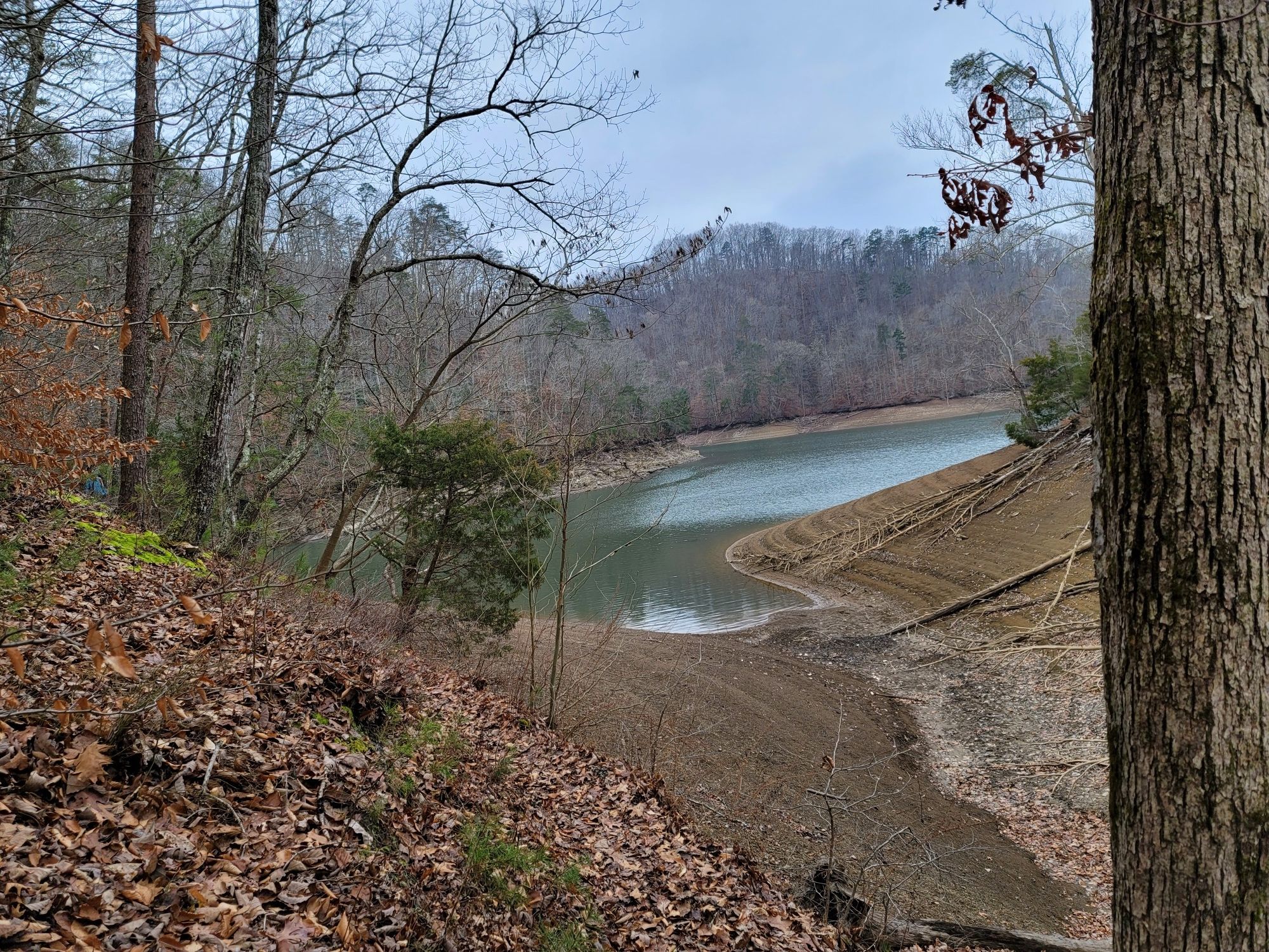 Overlook of a lake with exposed shoreline and bare trees under an overcast sky. - Big Ridge State Park loop from Big Ridge State Park