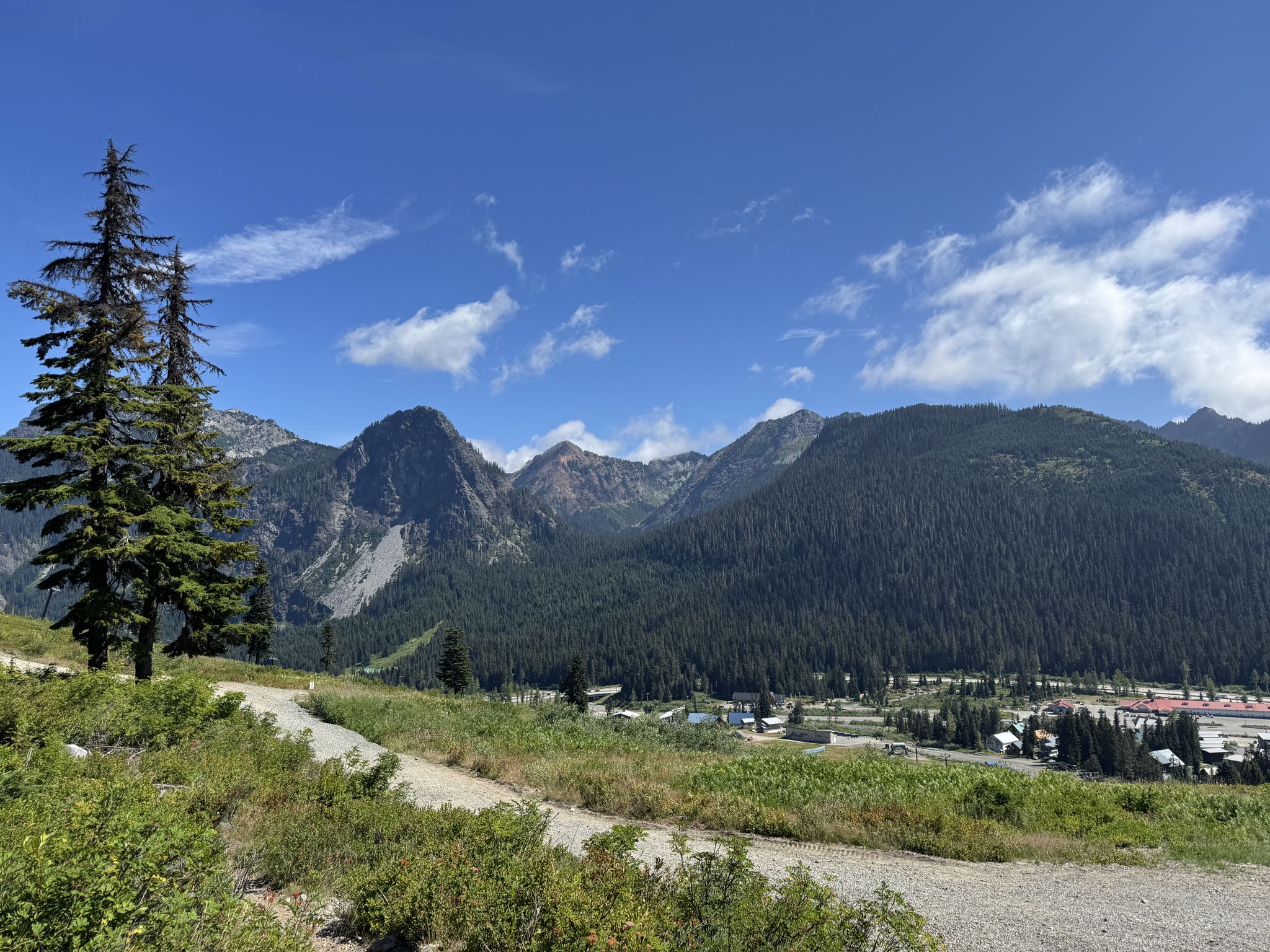 Sunny mountain landscape with a dirt path, pine trees, and a distant valley. - Pacific Crest Trail to Lodge Lake