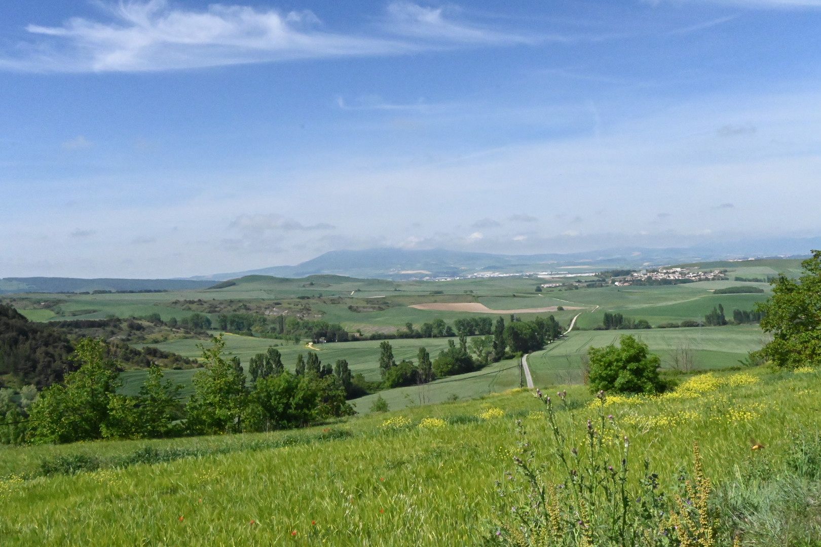 Badostain desde Ardanaz