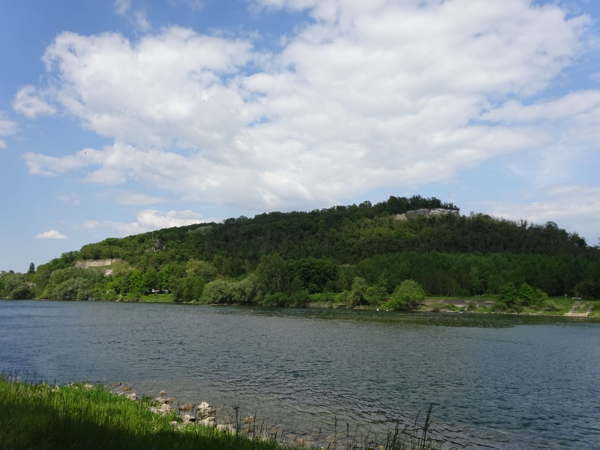 Limberg