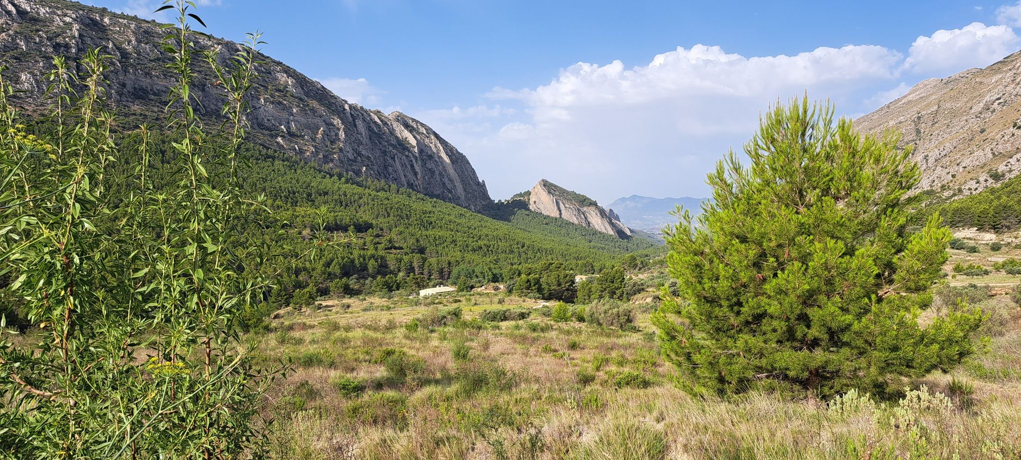 valle de sella