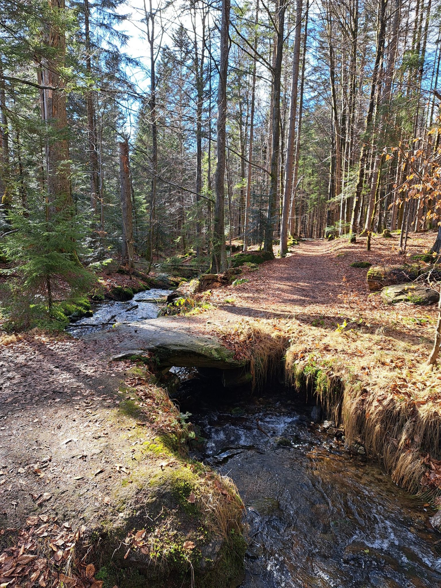 Seebach