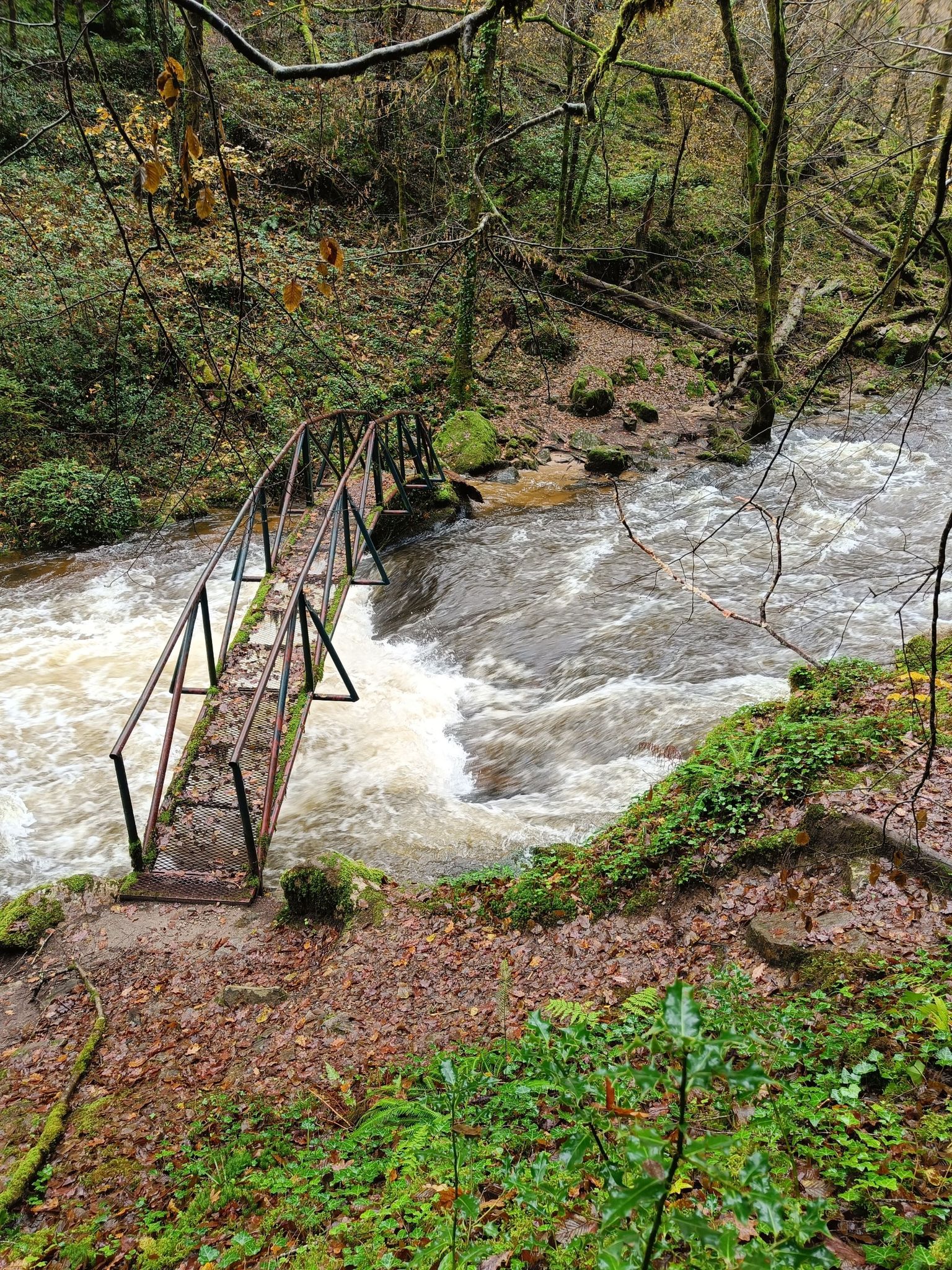 pont métallique