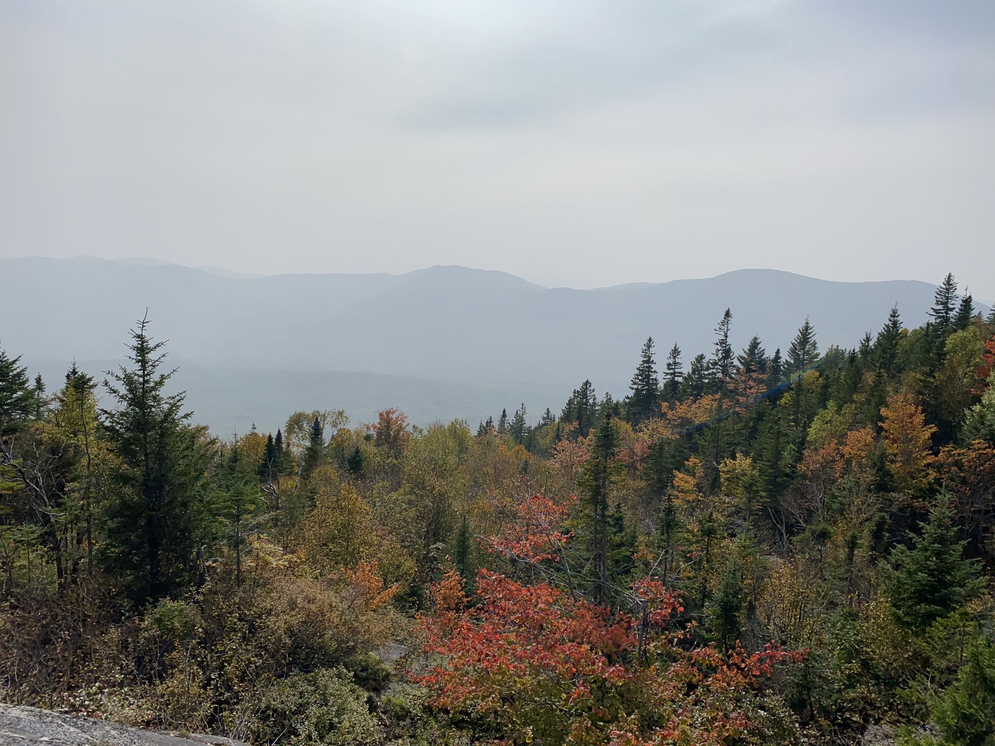 Autumn forest with colorful trees and hazy distant mountains under an overcast sky. - Parker Ridge and Brook Trail Loop