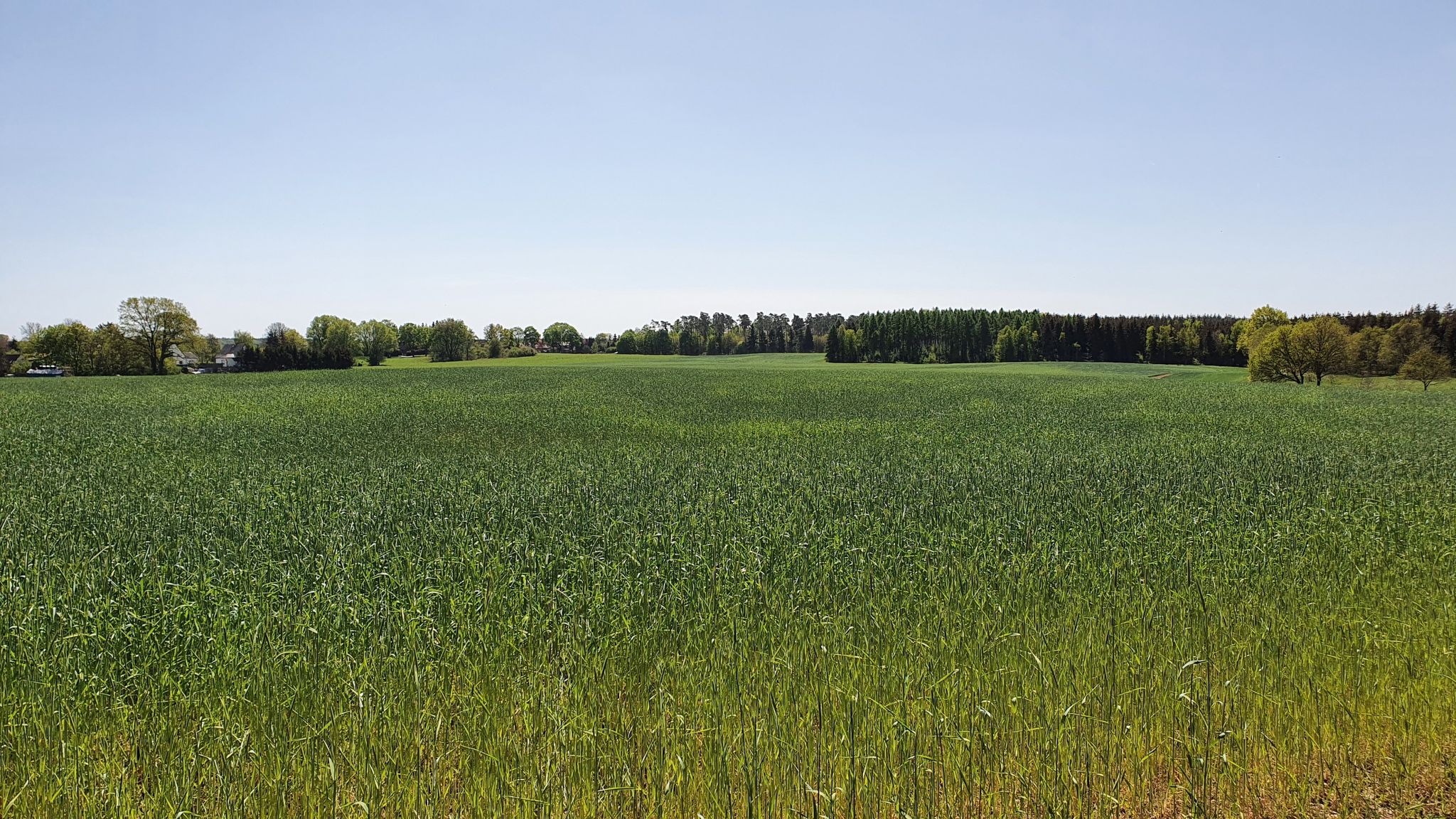Lützow