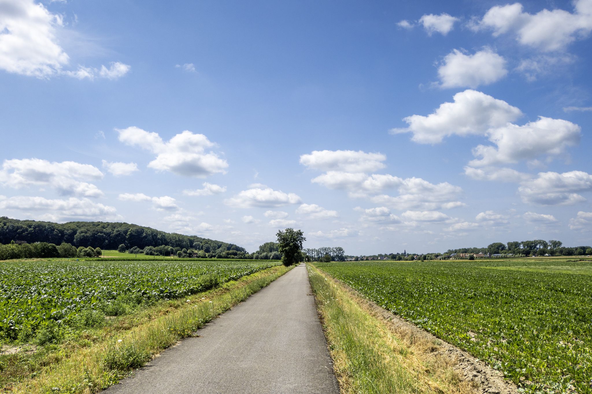 Op het fietspad F45 naar Melden