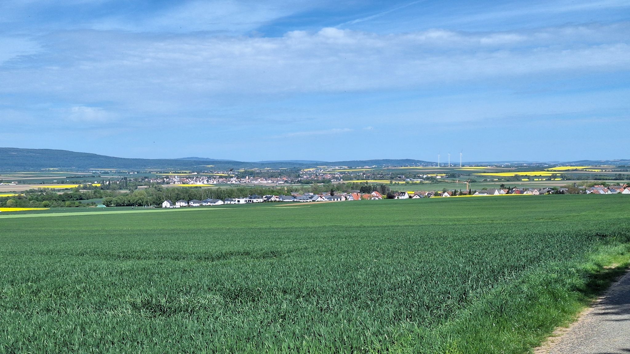 Panoramablick auf den Taunus - Bild 4