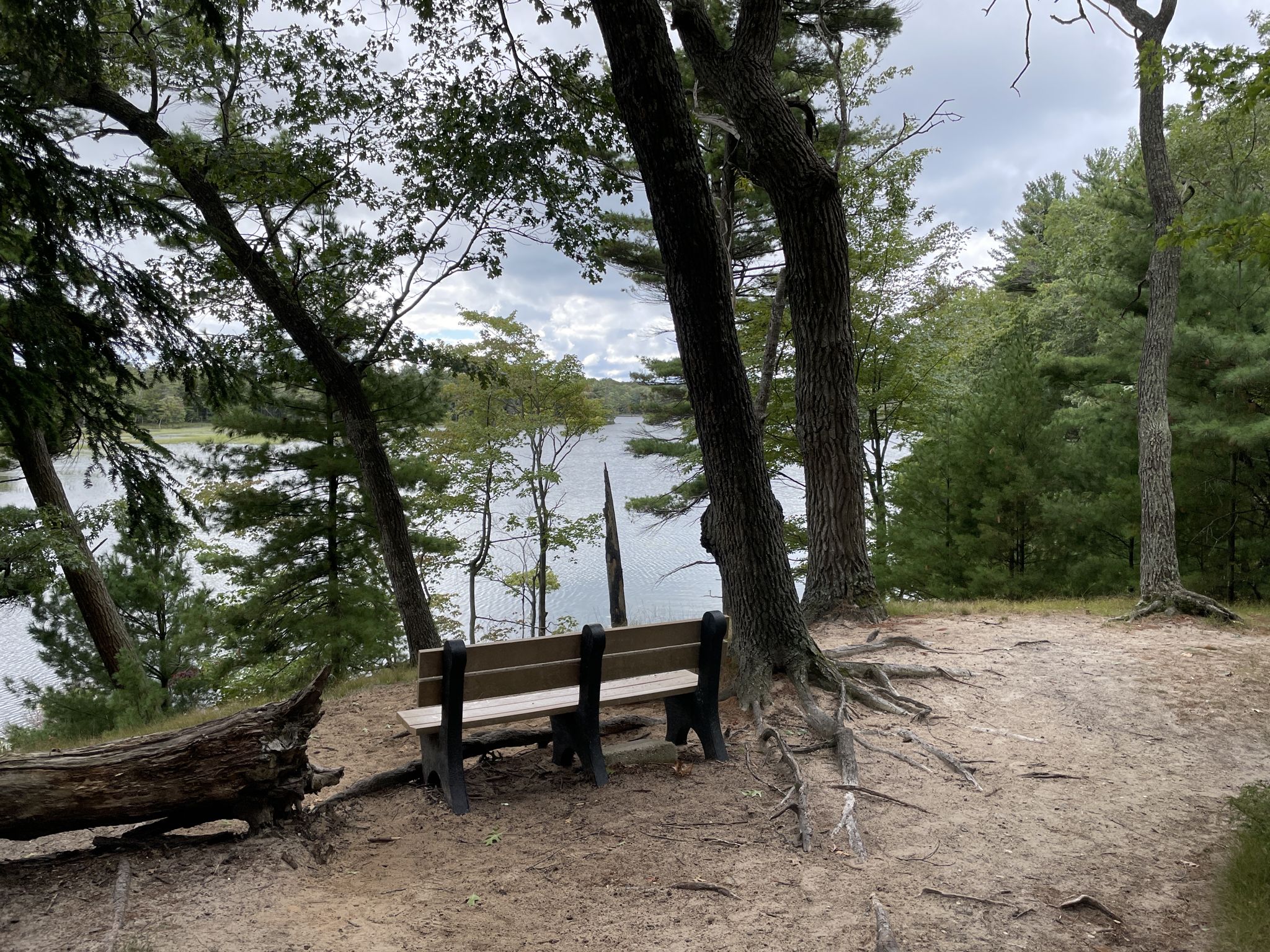 A wooden bench overlooks a serene lake, surrounded by trees and sand. - Nordhouse Dunes Extended Backpacking Loop
