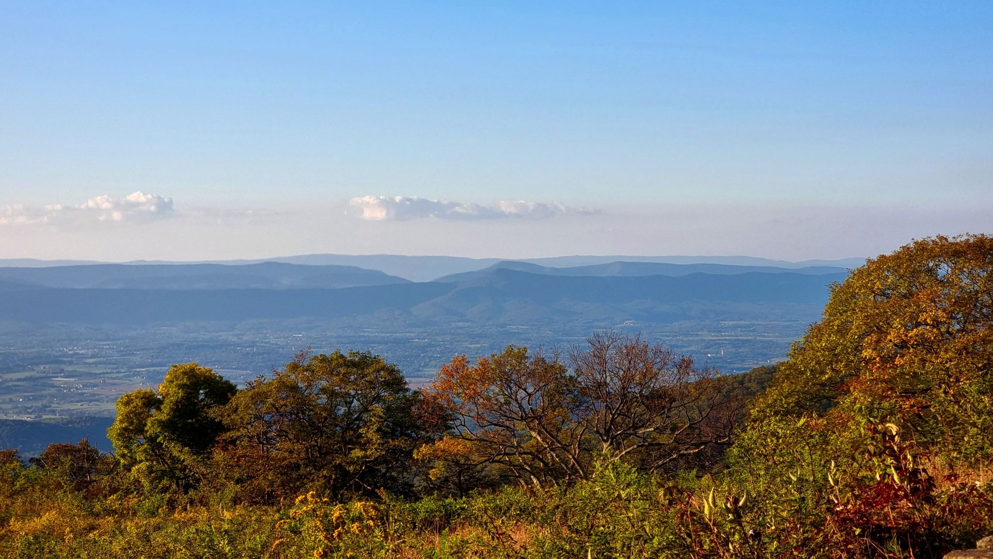 Bright mountain vista with autumn trees overlooking a distant valley. - Skyline Drive