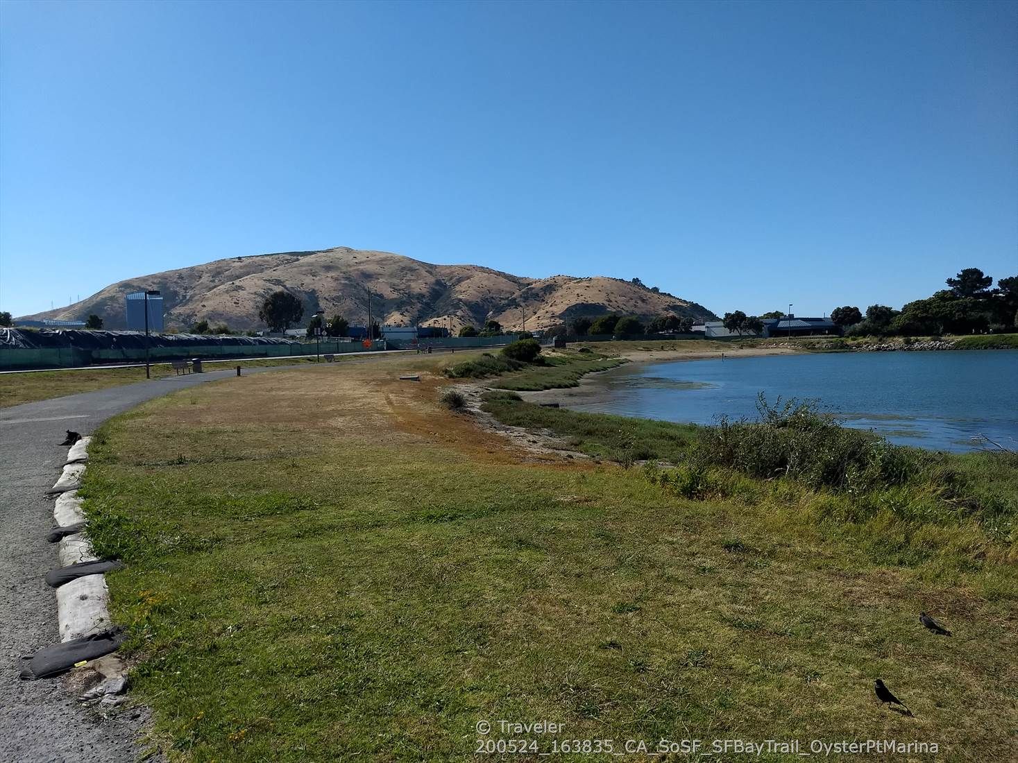 Paved path and grassy area next to water, with a large dry hill. - View of Oyster Point Marina – Oyster Point Marina loop from Oyster Point Marina Park