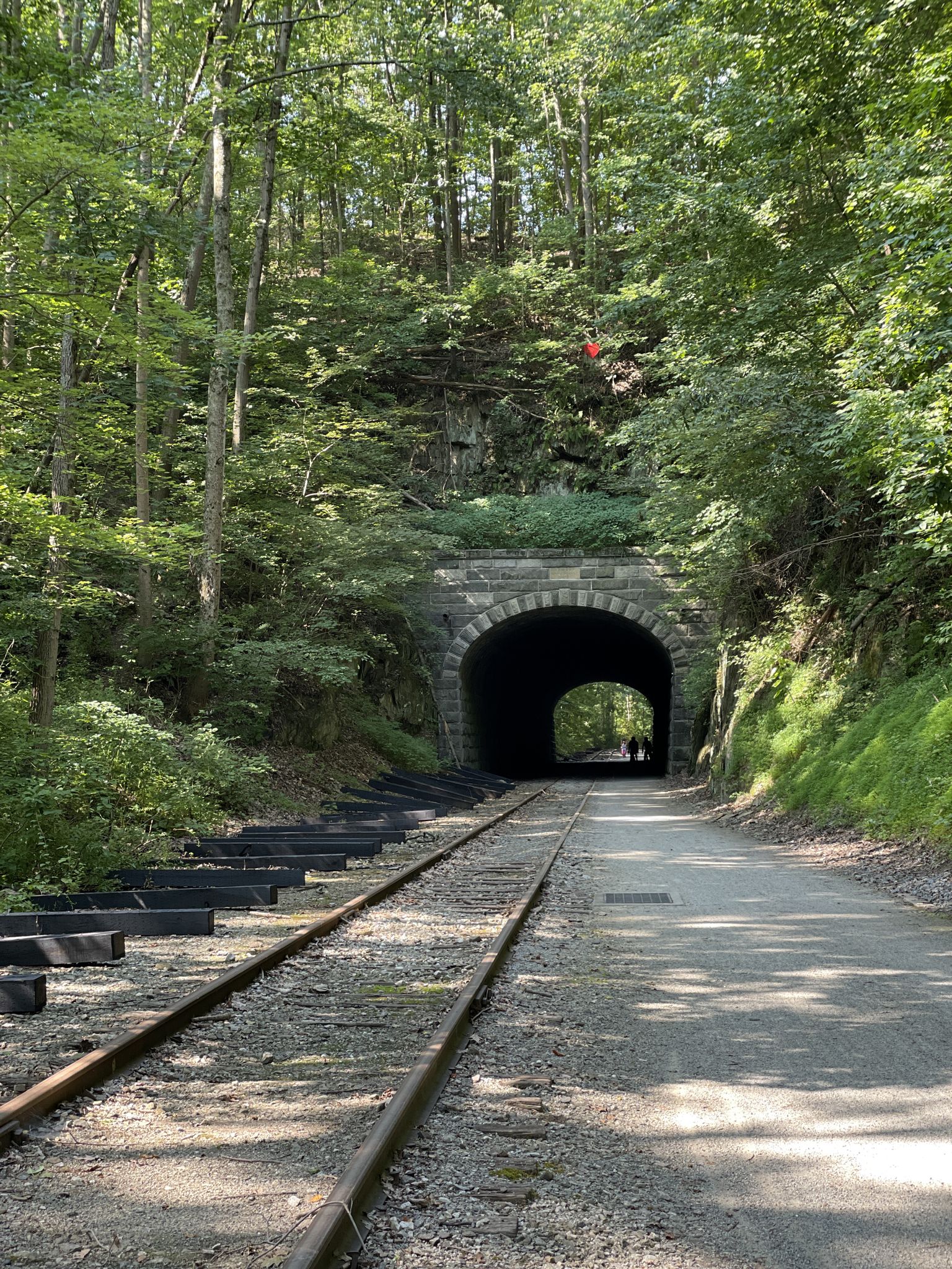 A stone tunnel entrance on a path next to railroad tracks in a dense forest. - Howard Tunnel loop from Brillhart