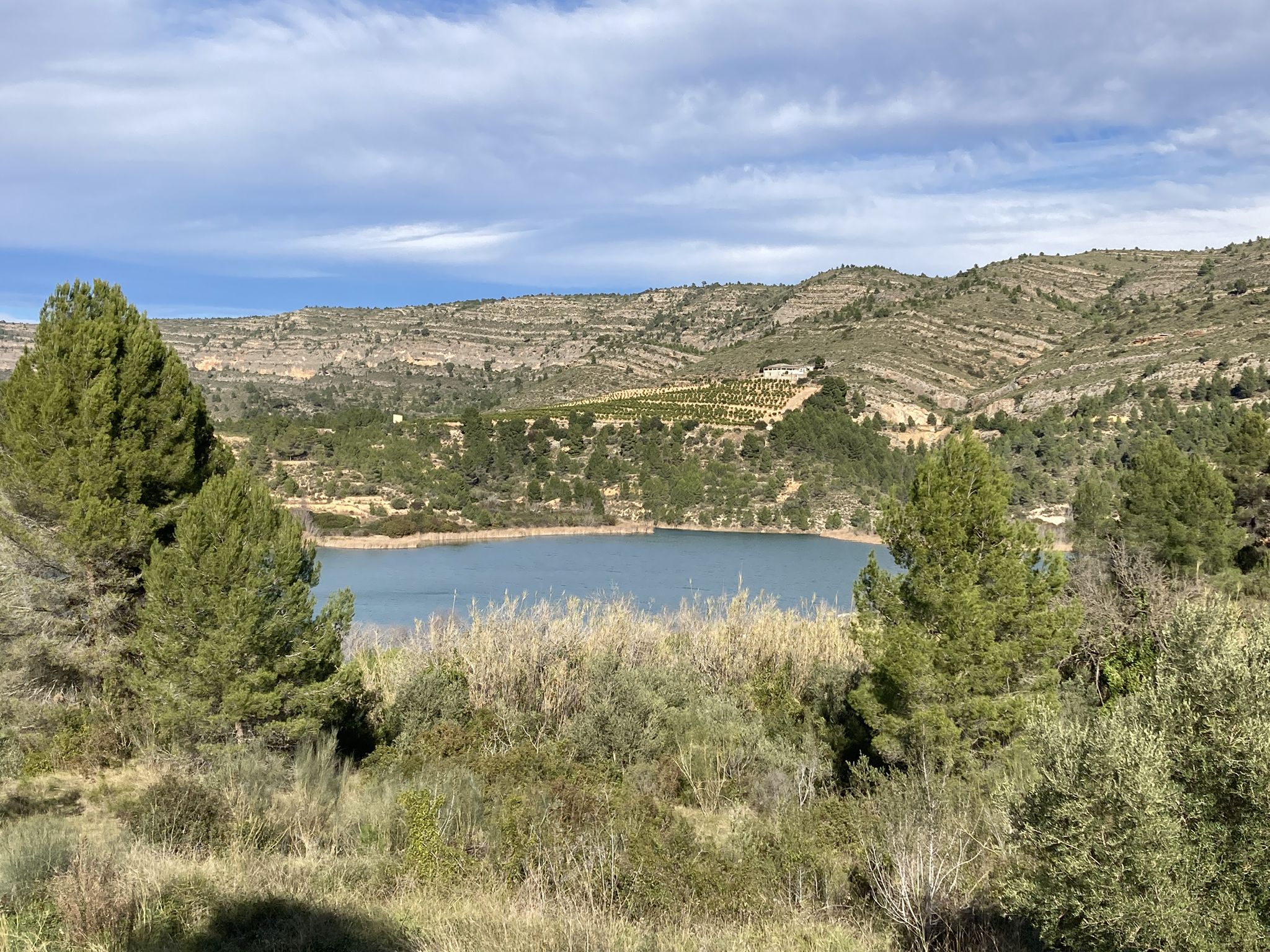 Embalse de Escalona