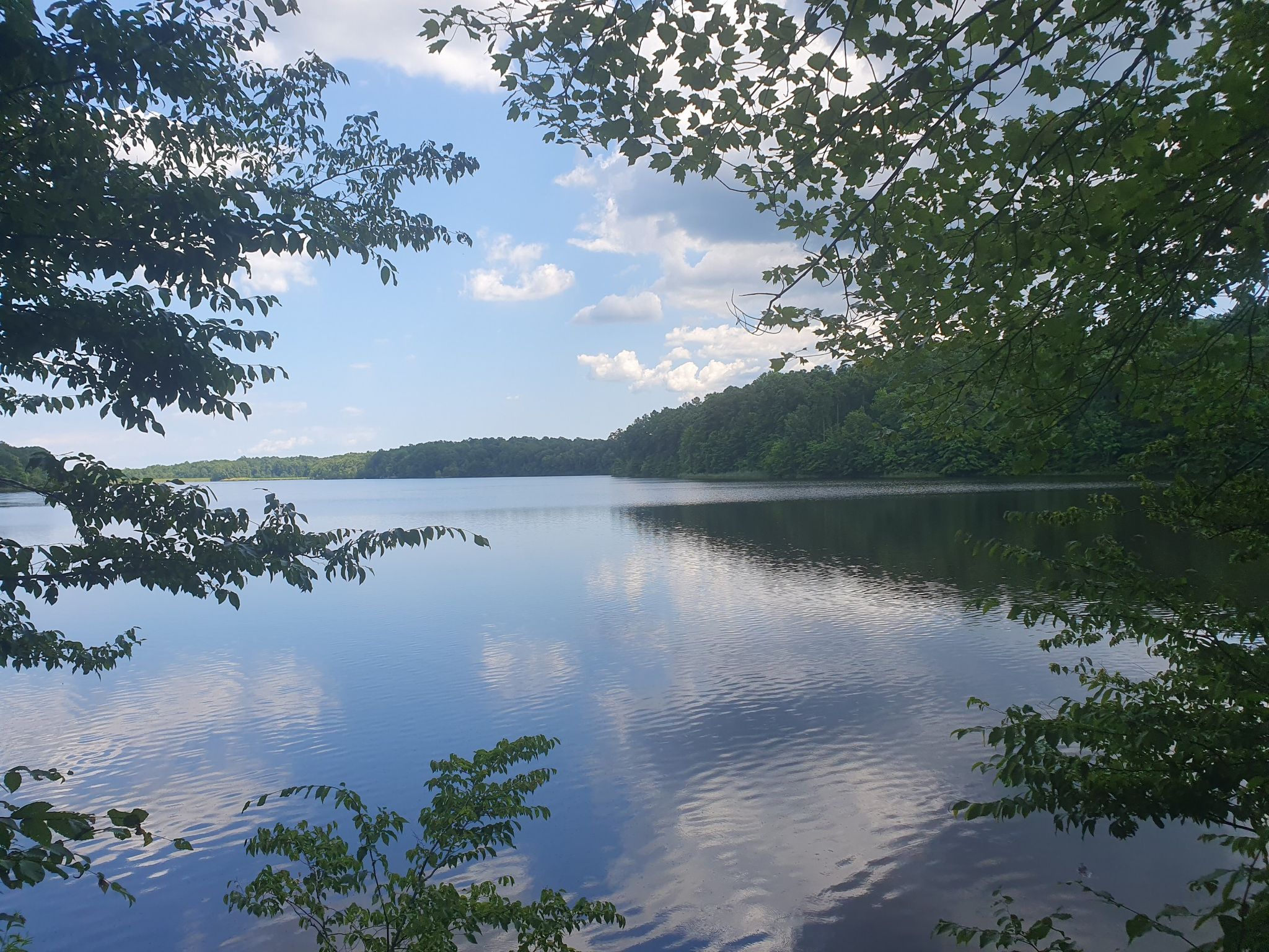 Calm lake framed by green trees under a bright, cloudy sky. - St. Mary's Lake Loop