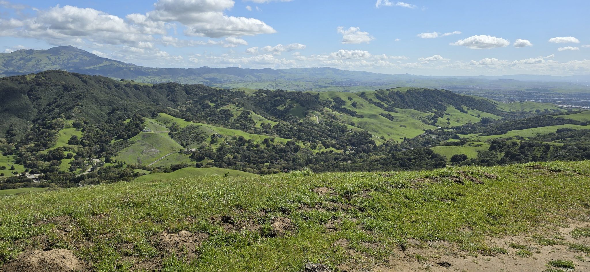 Panoramic view of lush green rolling hills under a bright, cloudy sky. - Elderberry to Cuesta Loop