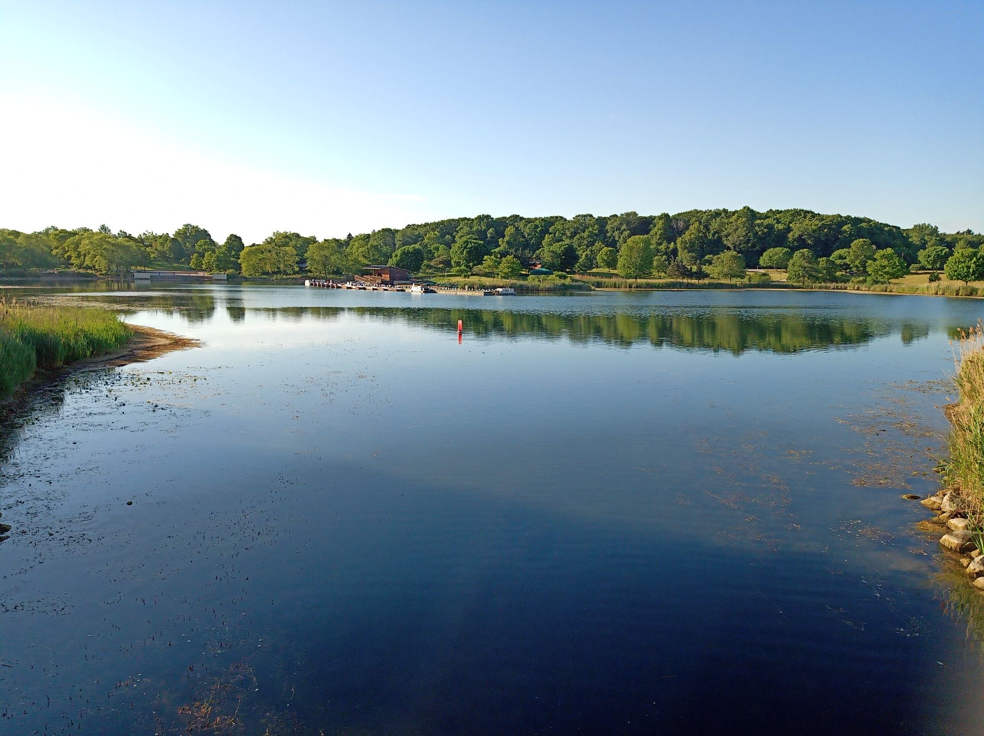 Calm lake reflecting trees under a clear sky, with distant boats. - Independence Grove Lakeside Trail