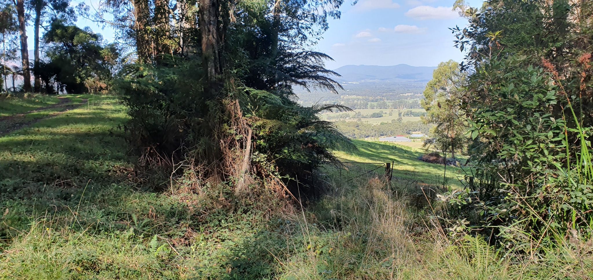 Lookout over Westburn, Yarra Valley