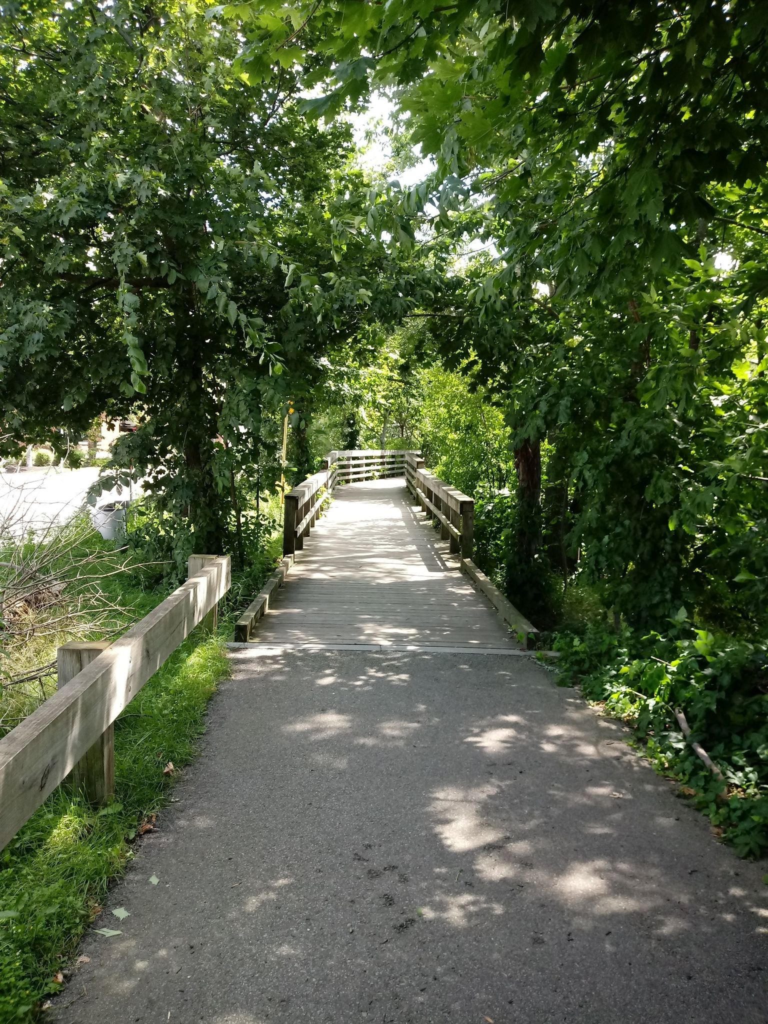 Paved path leading to a wooden bridge, surrounded by lush green trees in dappled sunlight. - Walden Pond Lake from Coolidge Corner via Coburn Meadow