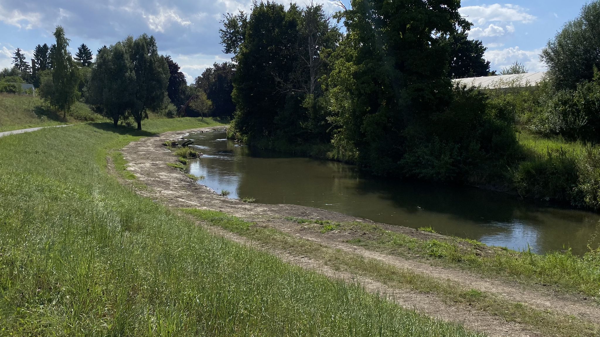 Ufer freigelegt - Büsche wurden entfernt