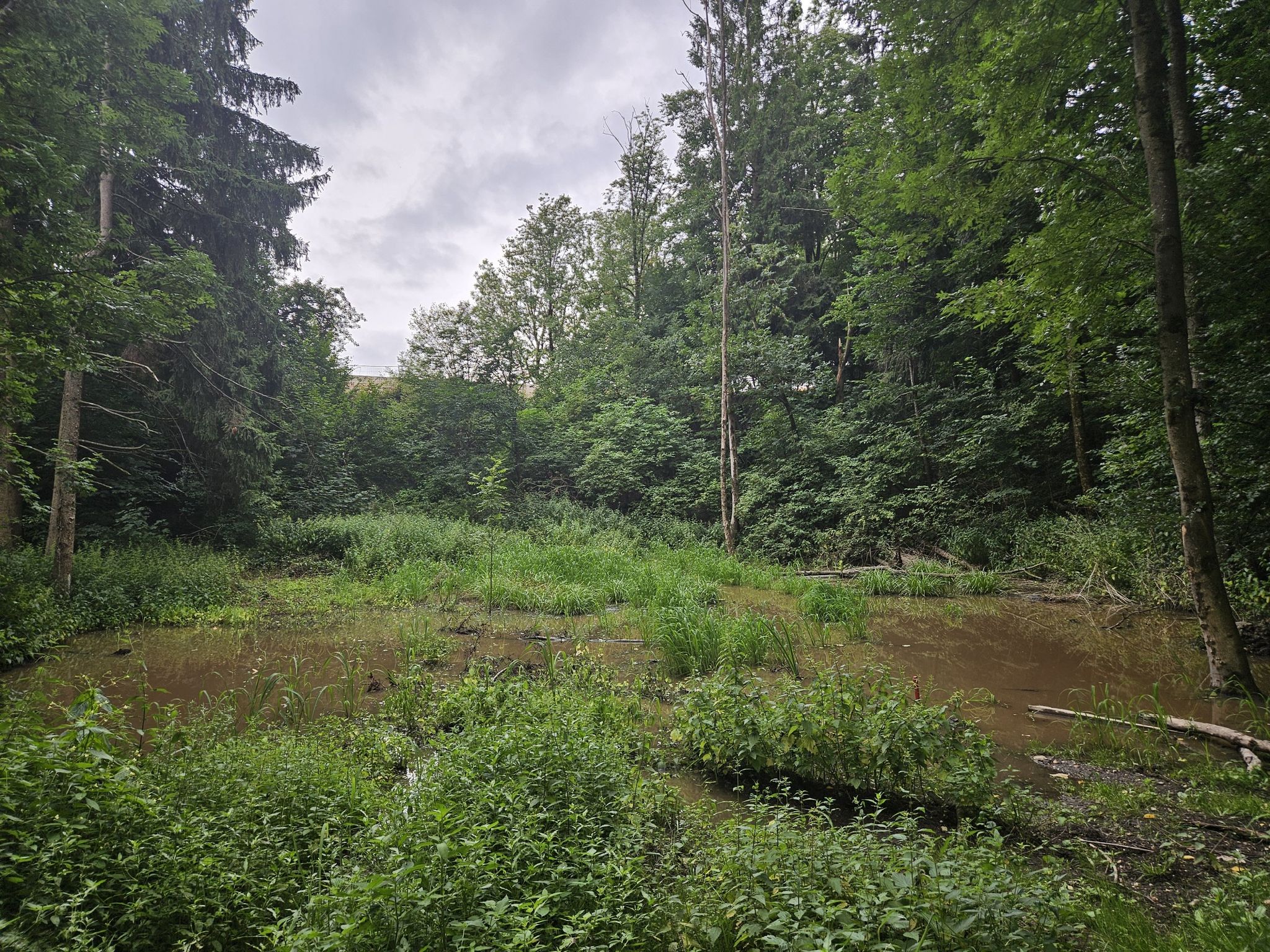 ... und ein Teich war auch dabei.
