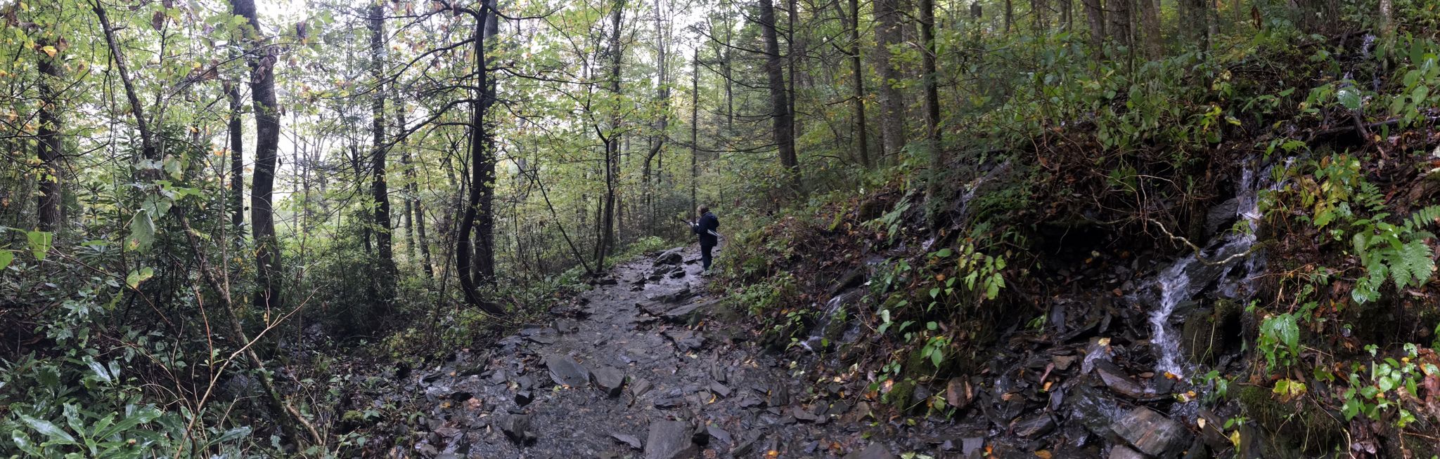 Person walking on a rocky, wet forest path with a small stream. - Crabtree Falls Trail