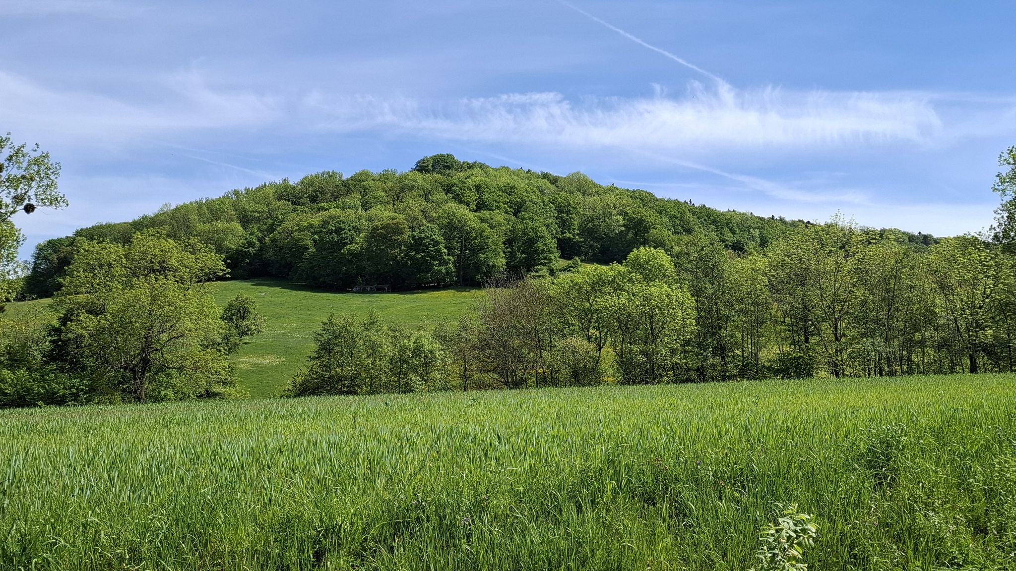 Kuhnberg