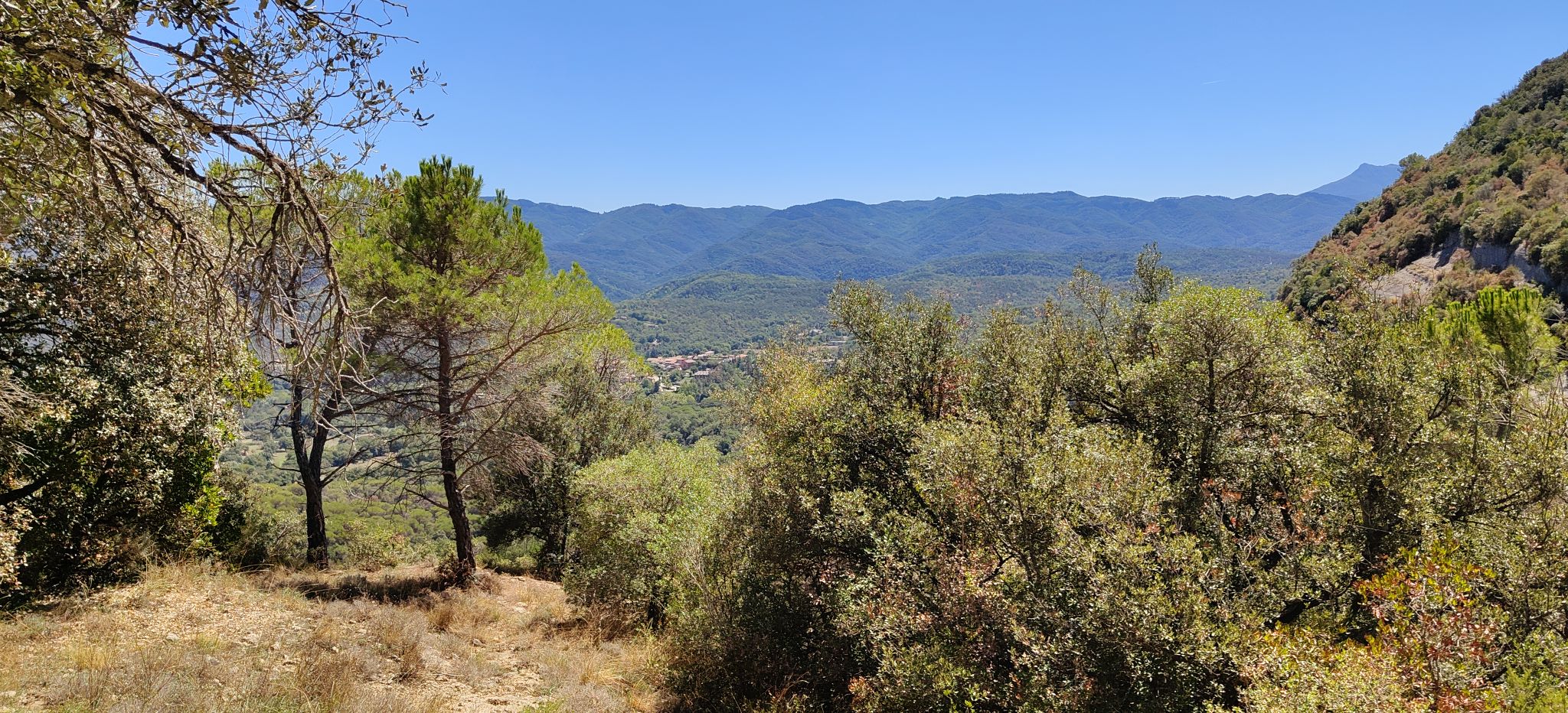 Vilanova de Sau