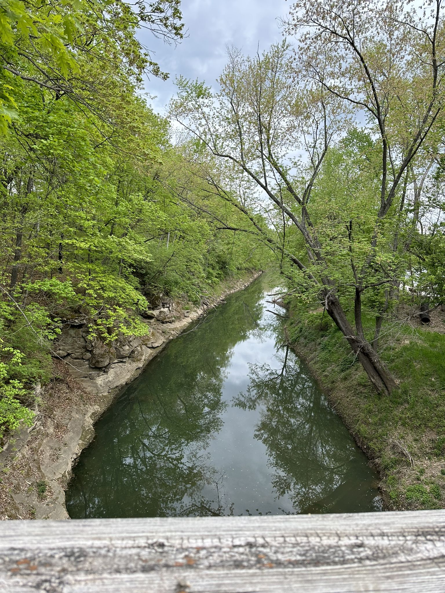 A narrow river flows through a green forest under a cloudy sky, seen from above. - MKT Nature and Fitness Trail