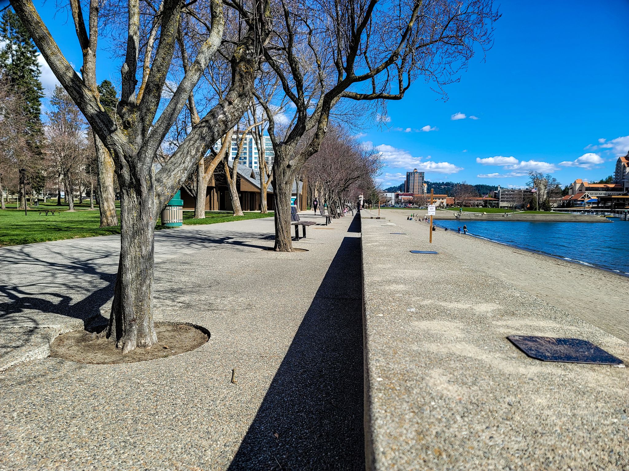 Paved lakeside promenade lined with bare trees, green grass, and distant buildings. - Silver Beach Marina loop from Coeur d'Alene