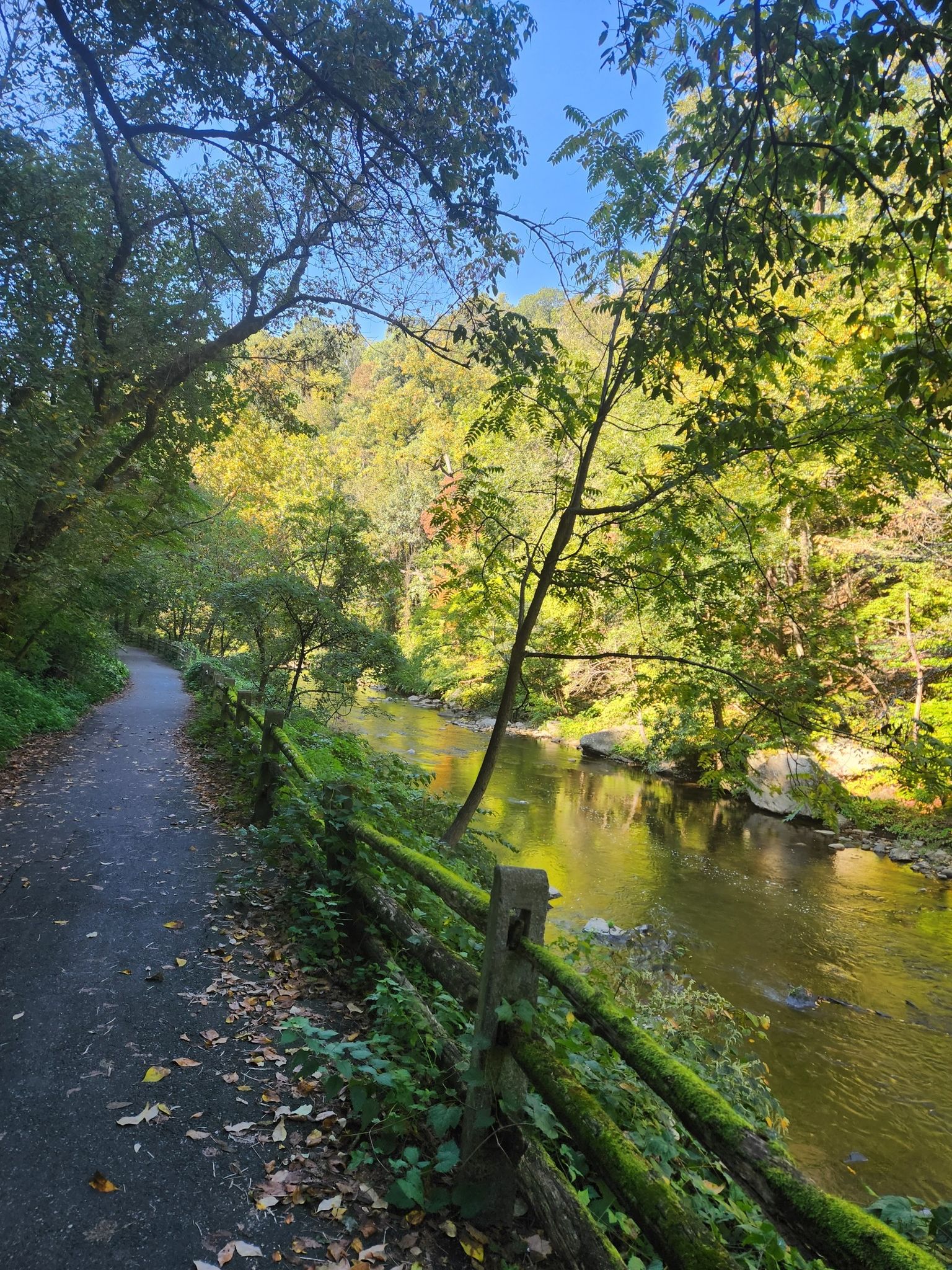 A paved path beside a river, lined with a mossy wooden fence. - Wissahickon Trail Loop