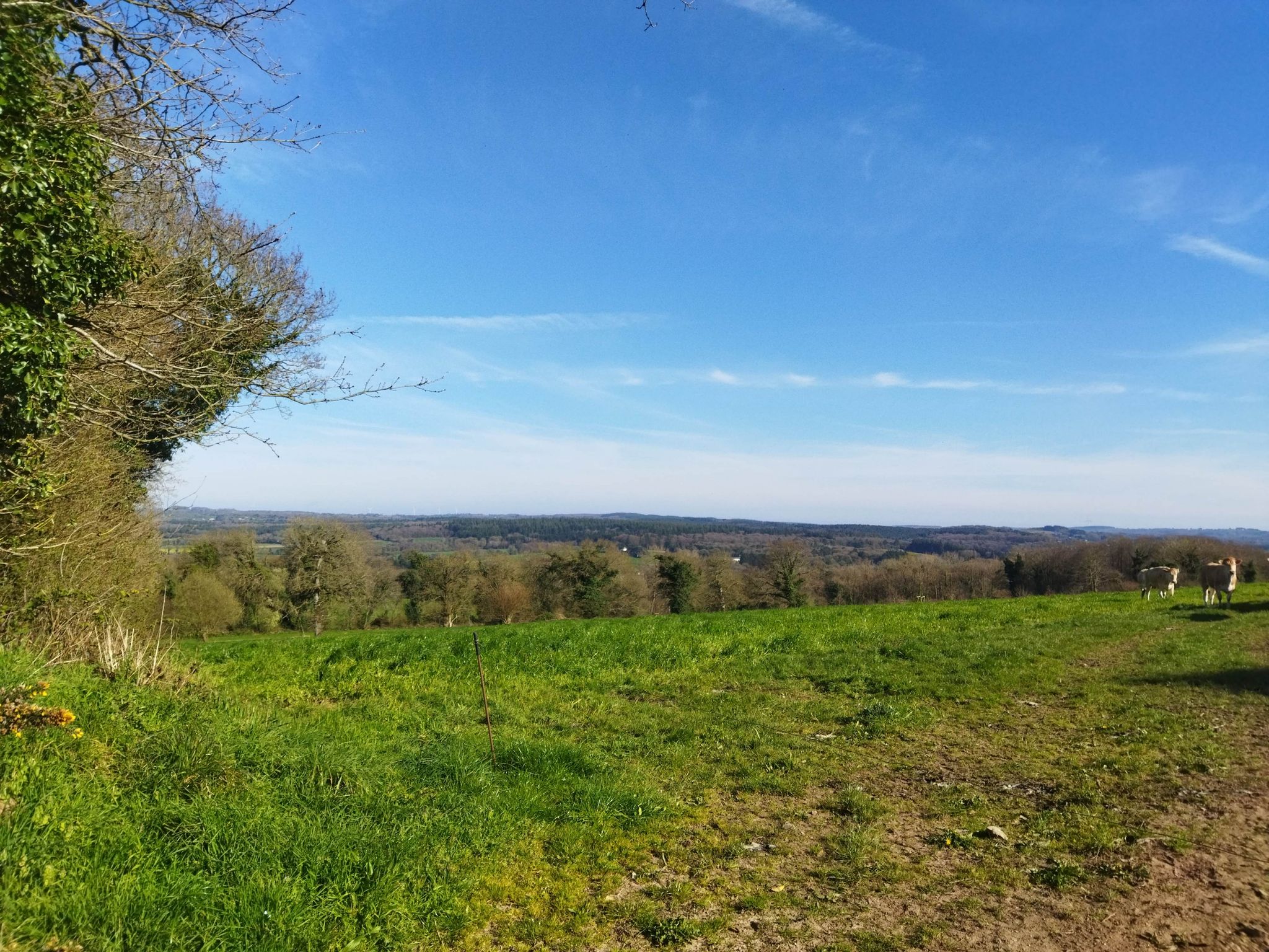 panorama saura forêts avaugour vu du haut de saint roch 👌