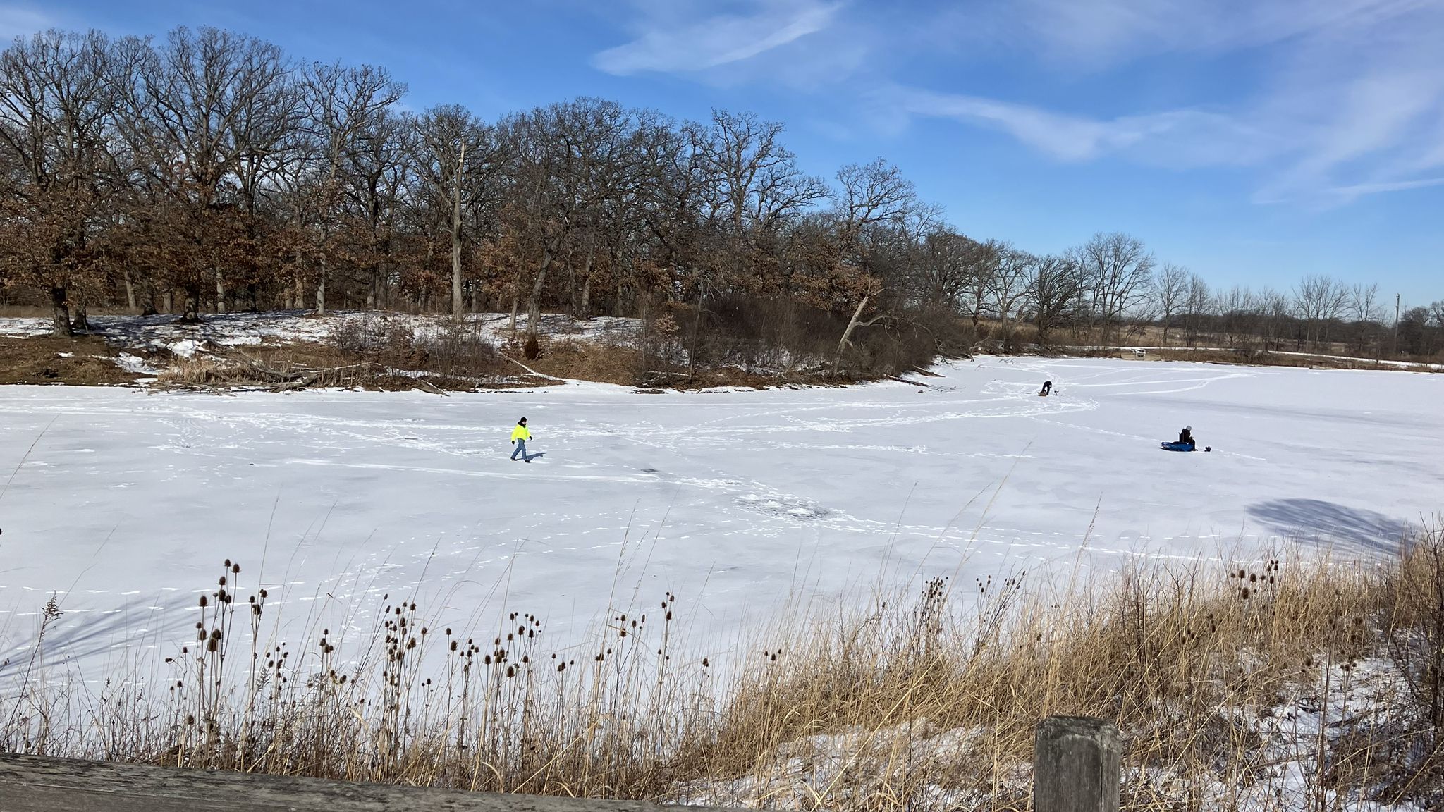 People ice fishing on a frozen lake, surrounded by snow and bare trees. - Taylor Lake – Millennium Trail (Volo) loop from Lakewood Forest Preserve