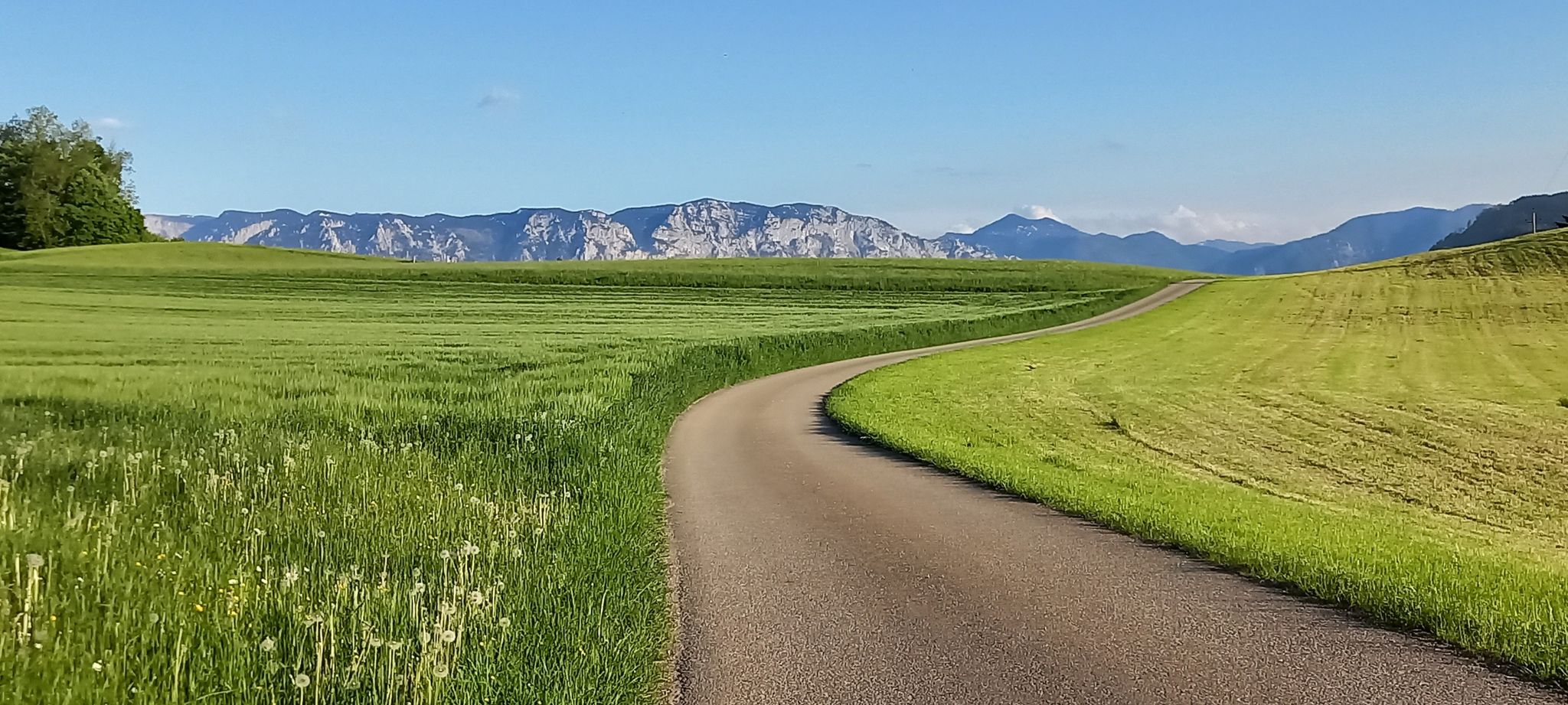 Ein Traum von Weg 🥰