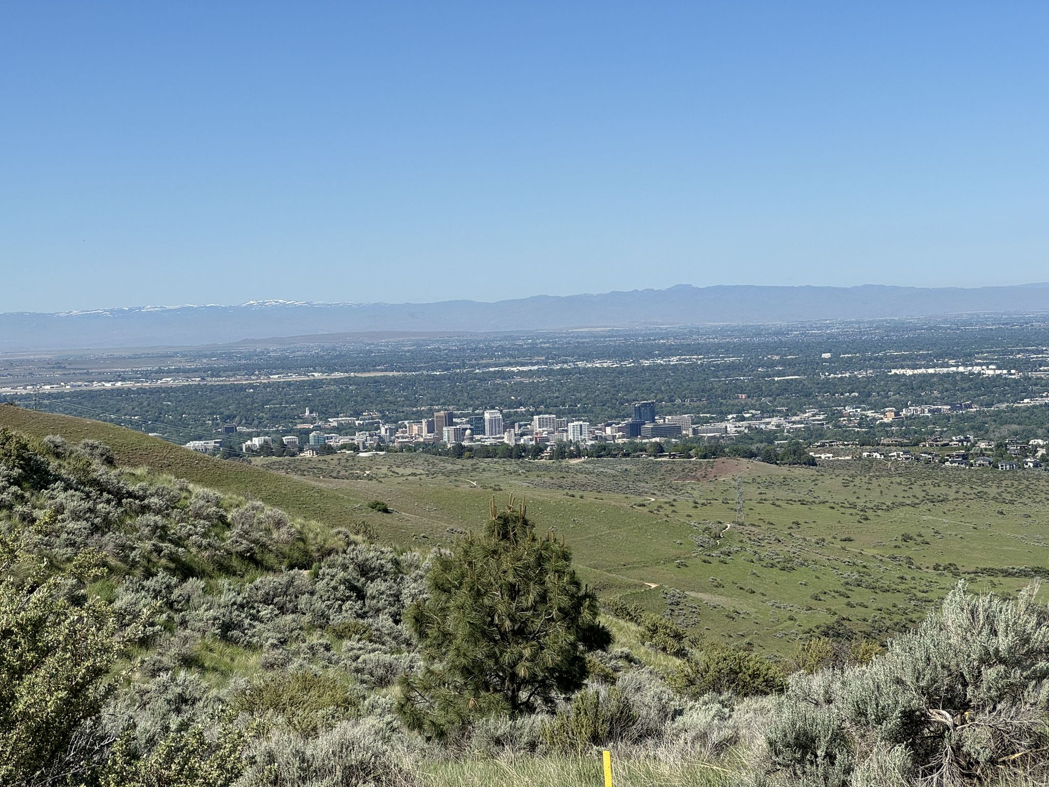 Panoramic view of a distant city from a green, brush-covered hillside under clear skies. - Hulls Gulch Loop