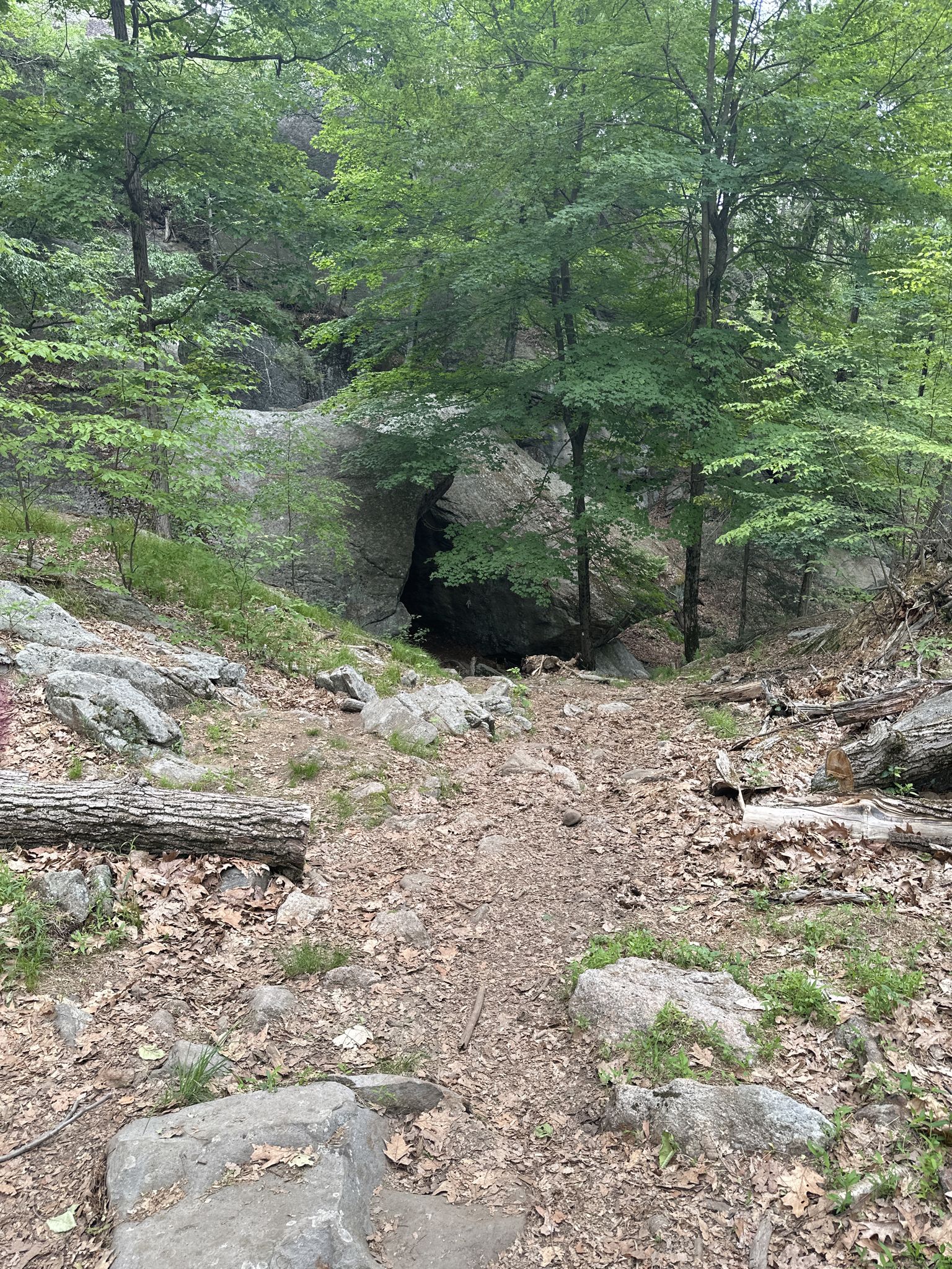 Dirt path through a green forest leading to a large rock shelter. - Island Pond Mountain Trail