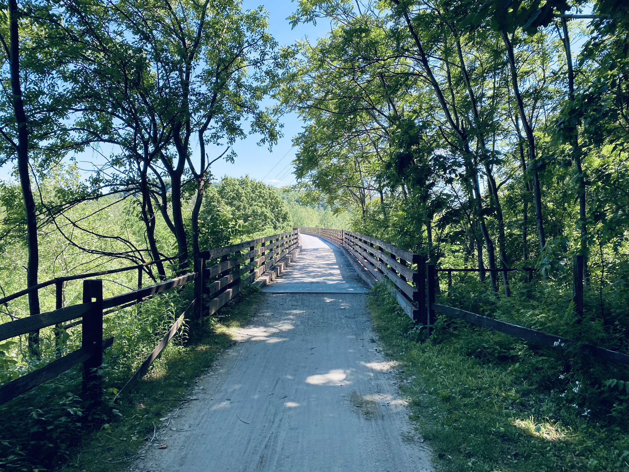 Dirt path leading to a wooden bridge through lush green trees, bright daylight. - Sheepskin Trail loop