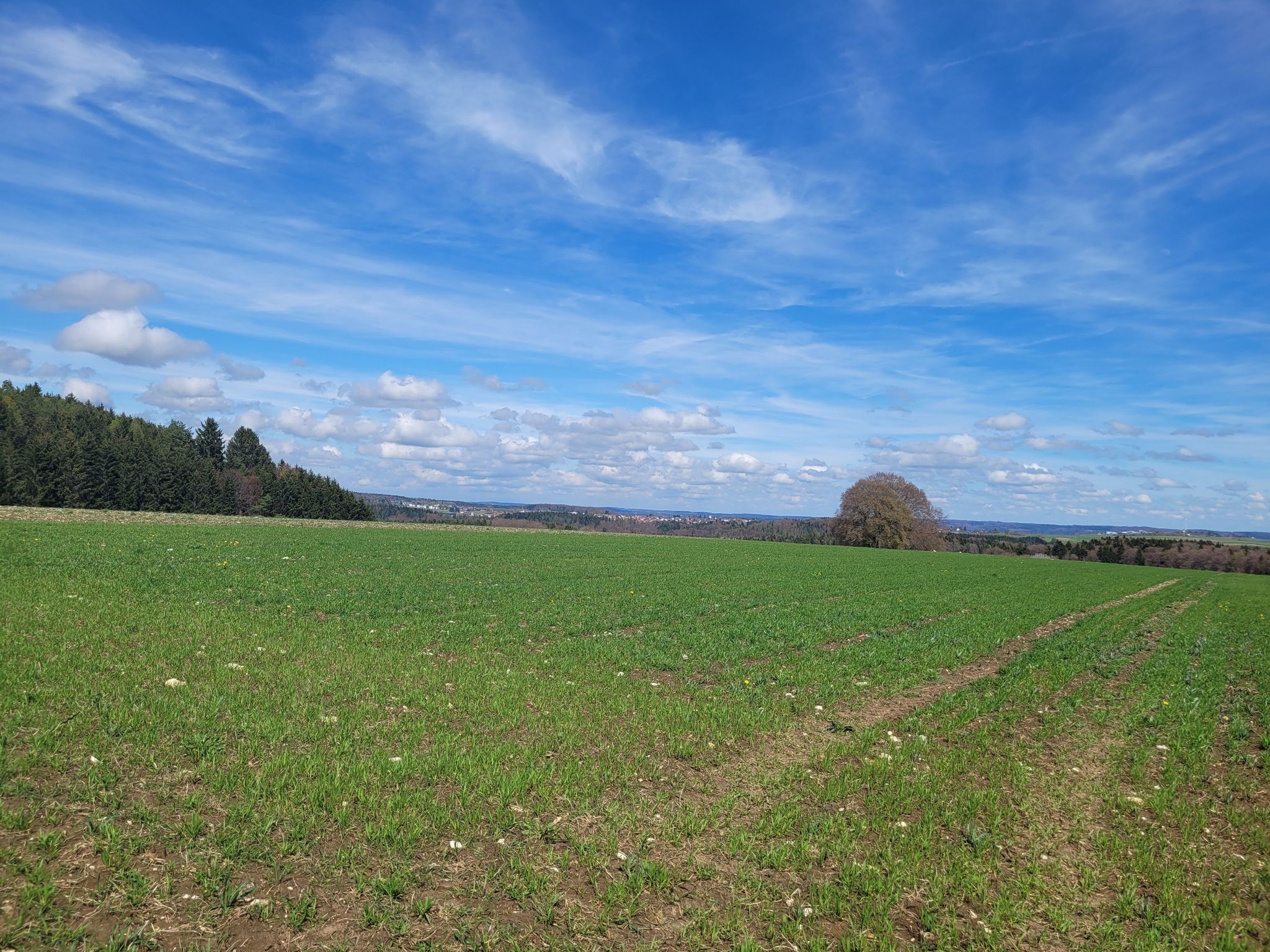 Winterlingen