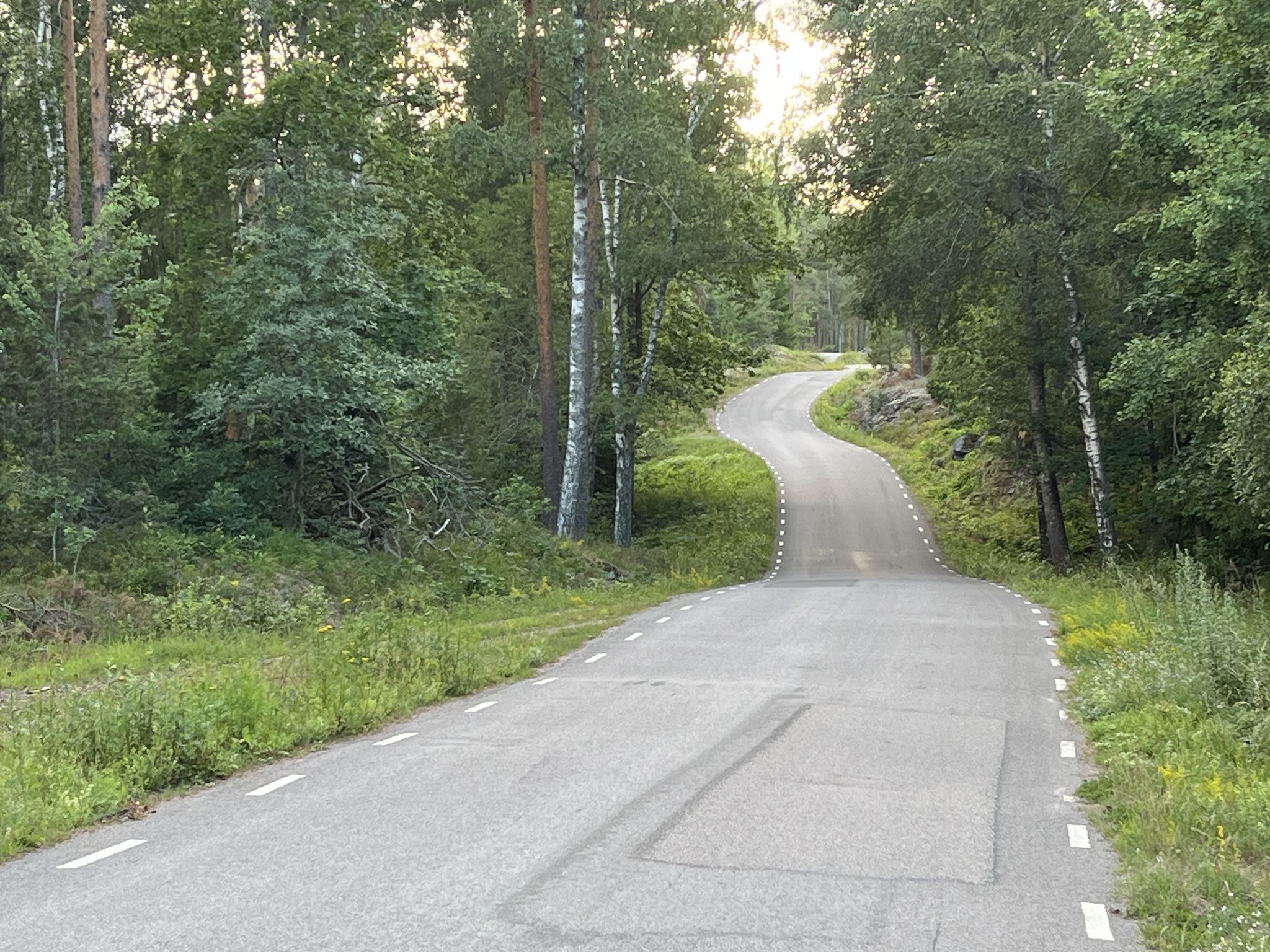 Nach langer Strecke auf Ostkustleden genieße ich den Asphalt zwischen Fårbo und Baggebo.