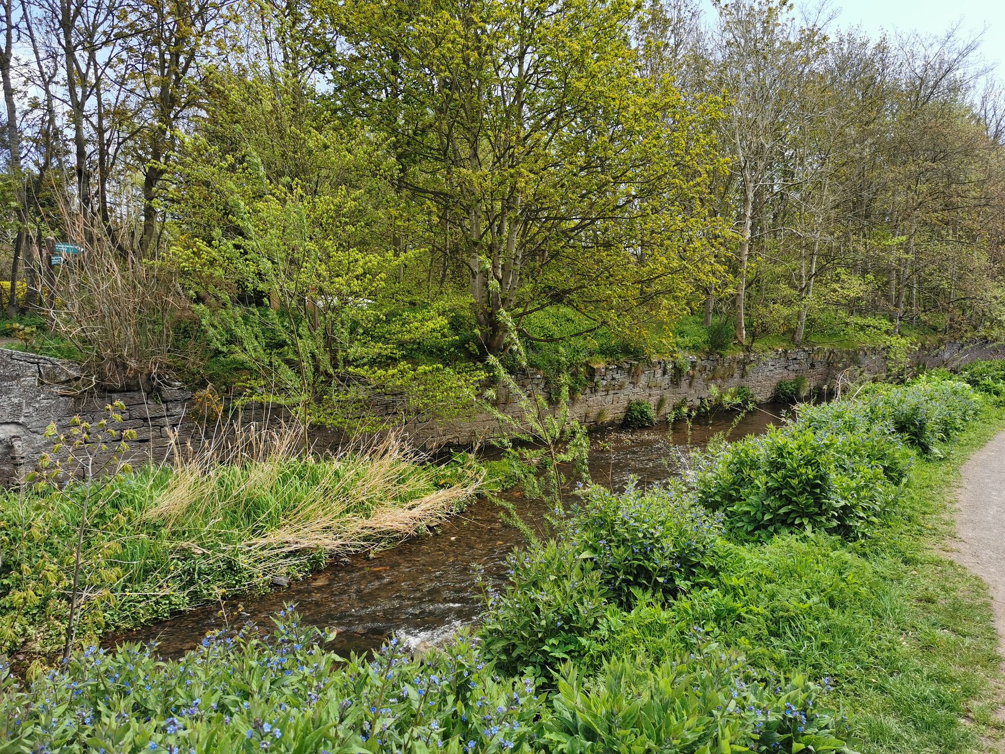 River bank