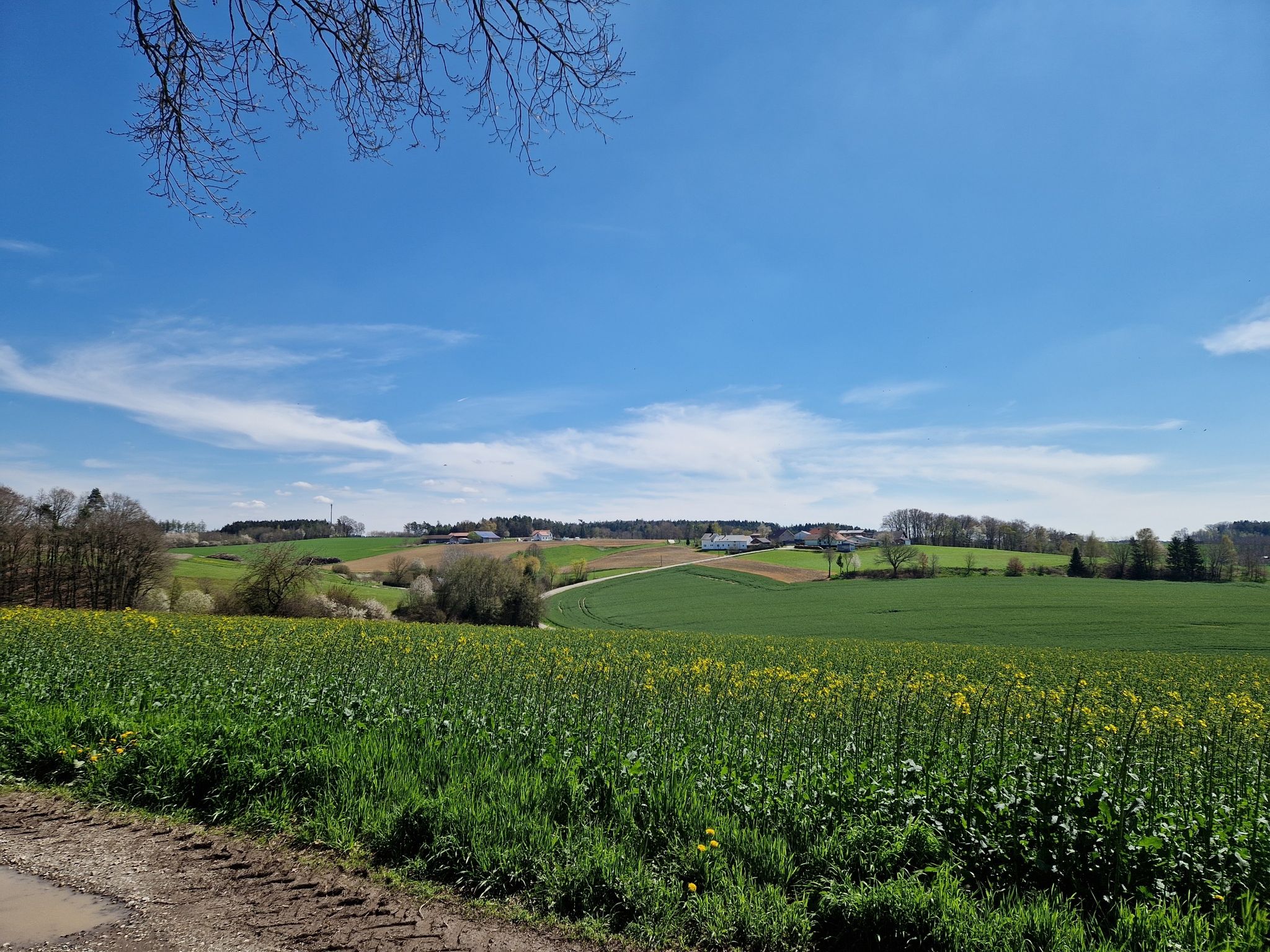 hochmoos und lottokreut
