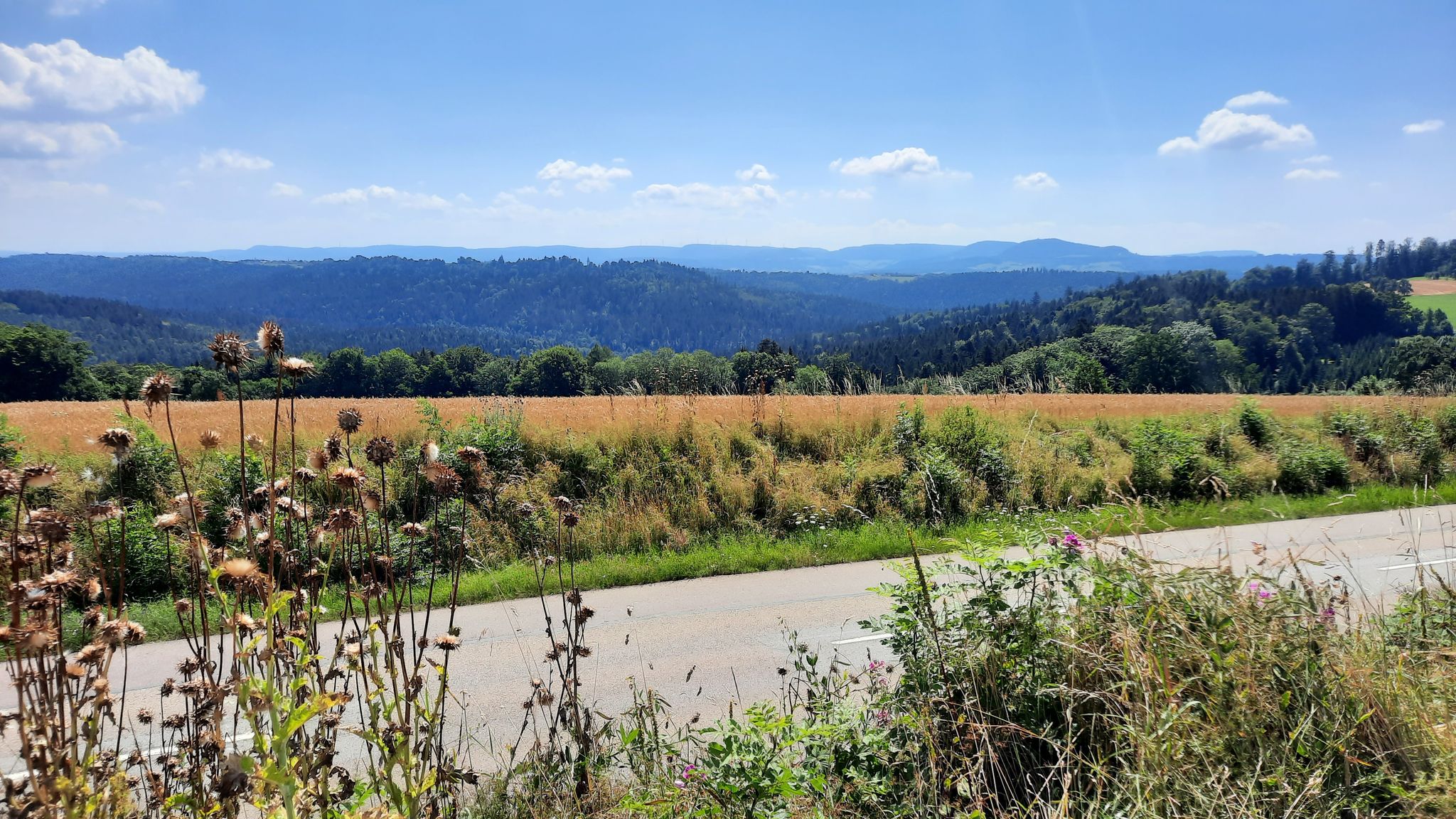 Blick auf die Schw. Alb