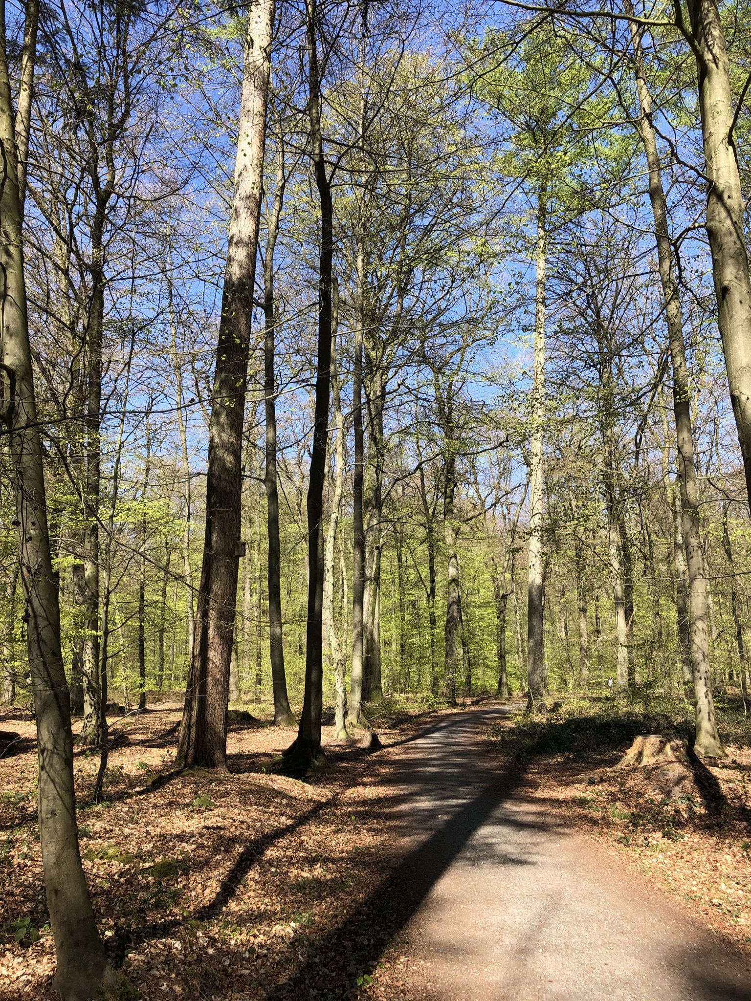Der Kreuzweg